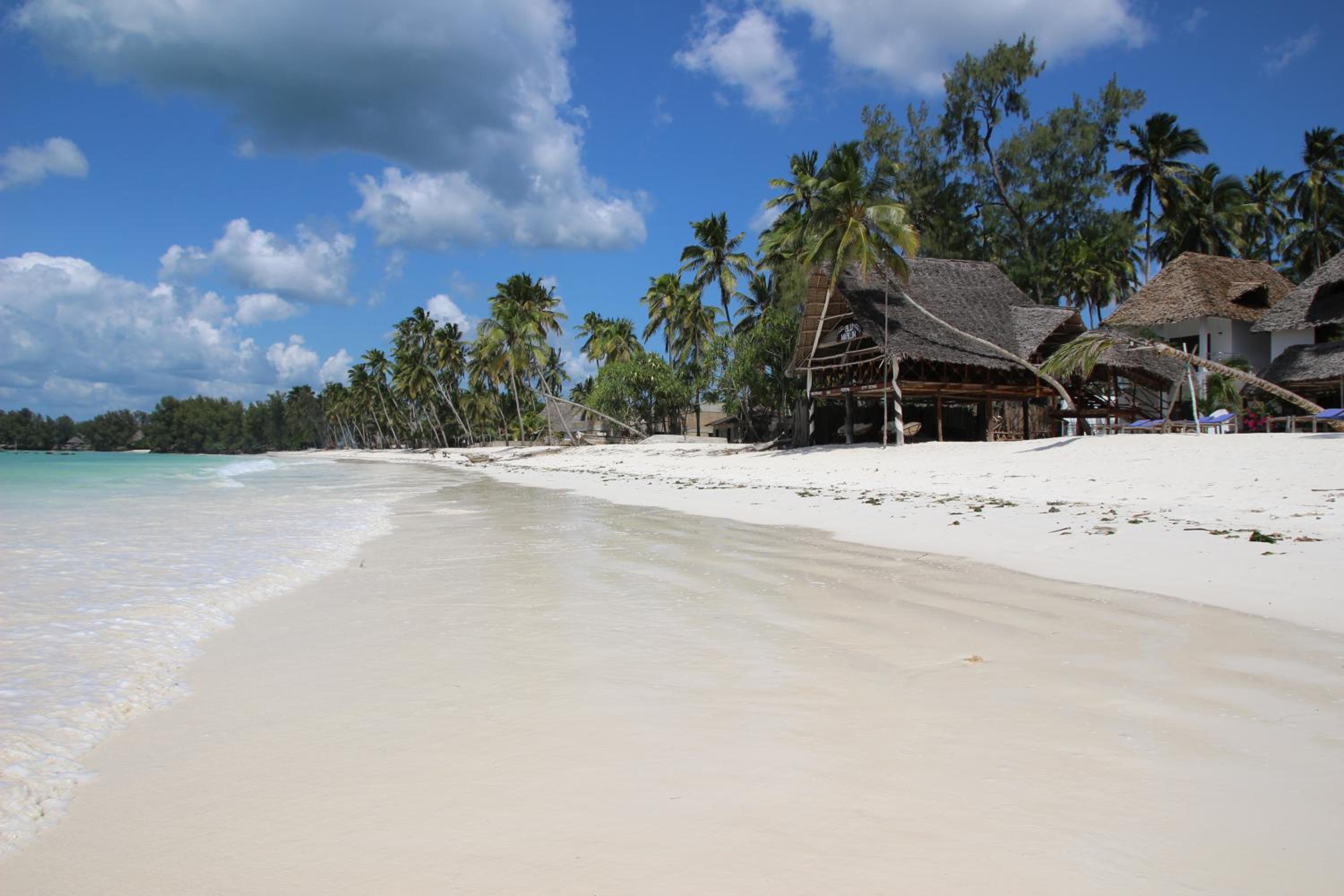 Kiwengwa Vacations - Blu Marlin Village - Property Image 6