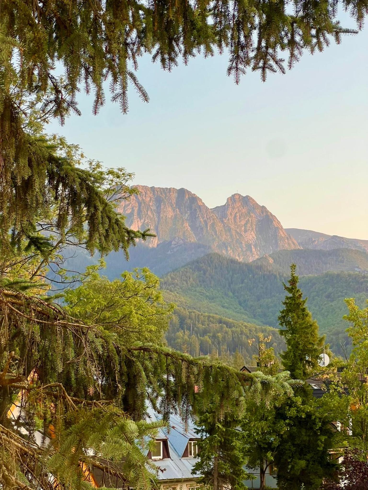 Jaśkowe Marzenie - Apartament z widokiem na Tatry w centrum Zakopanego