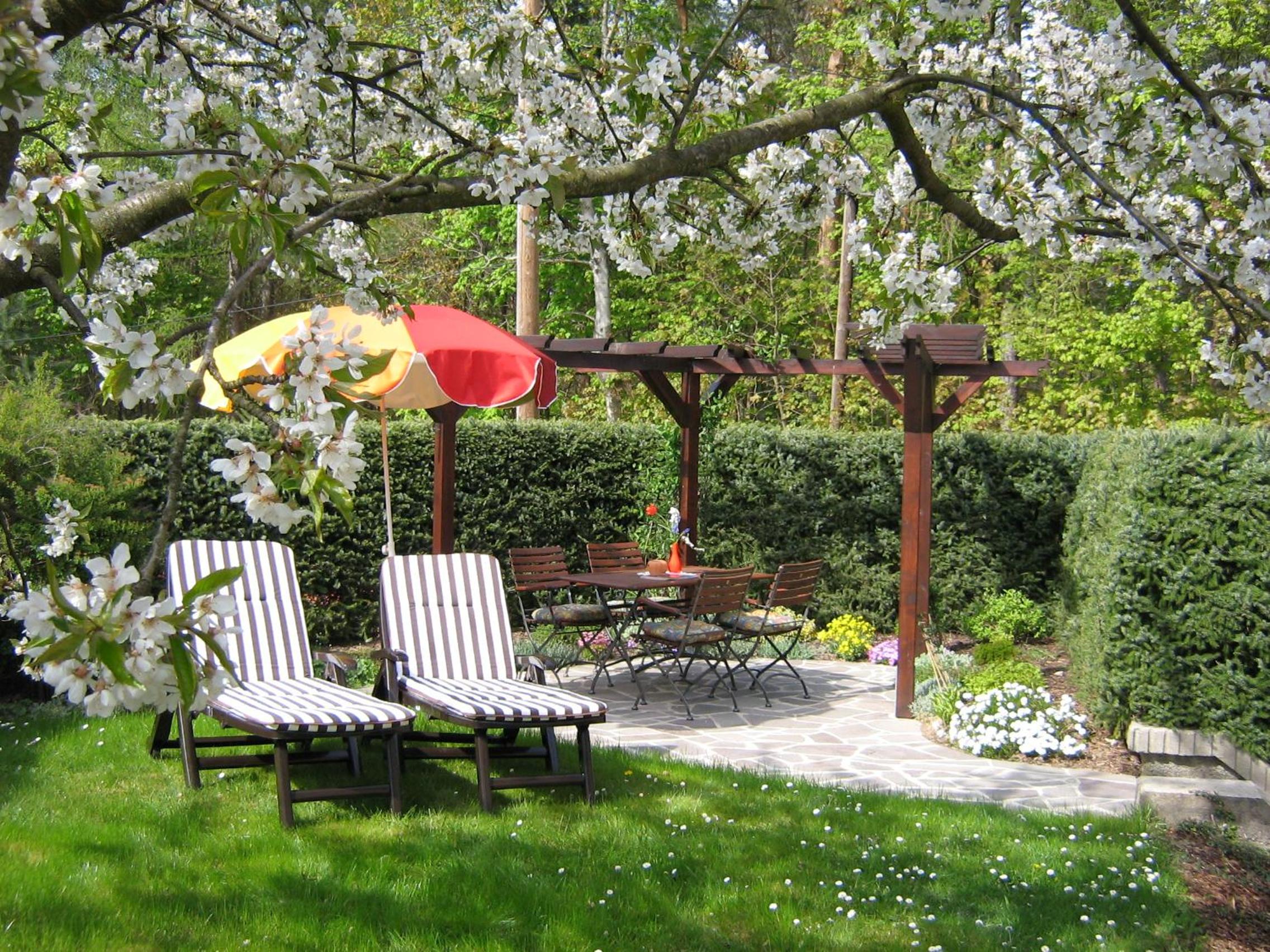 Ferienwohnung am Wäldchen view 5