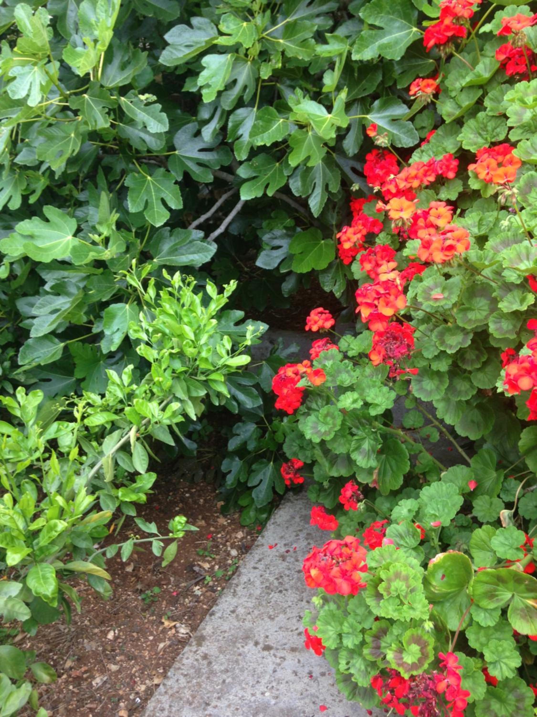 Photo 46