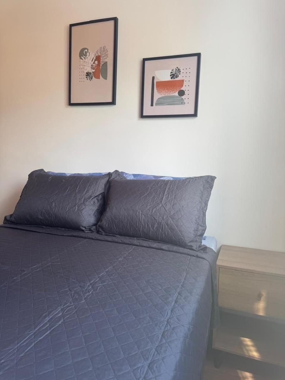 Vivaz Prime Laguna