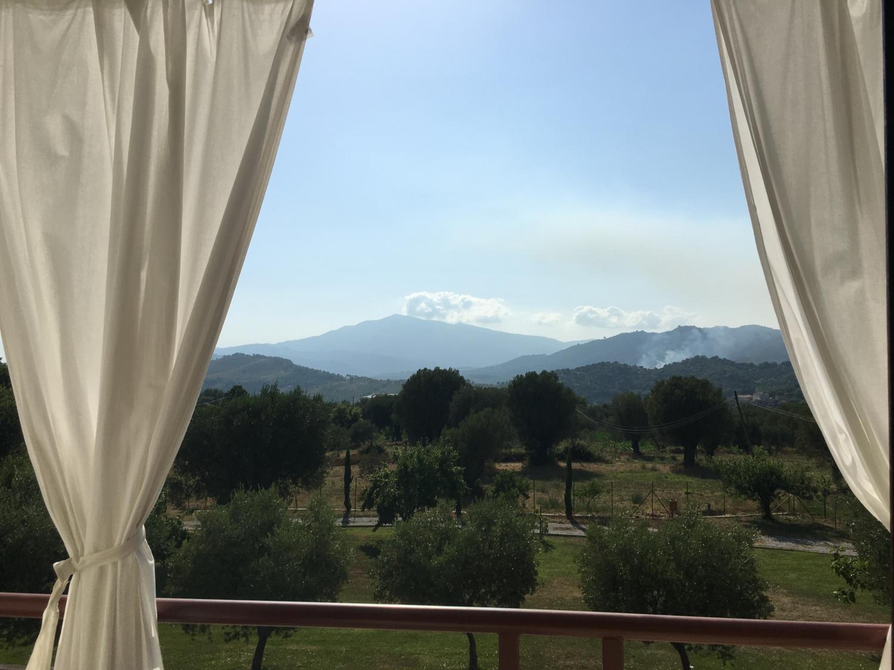 Corbezzolo