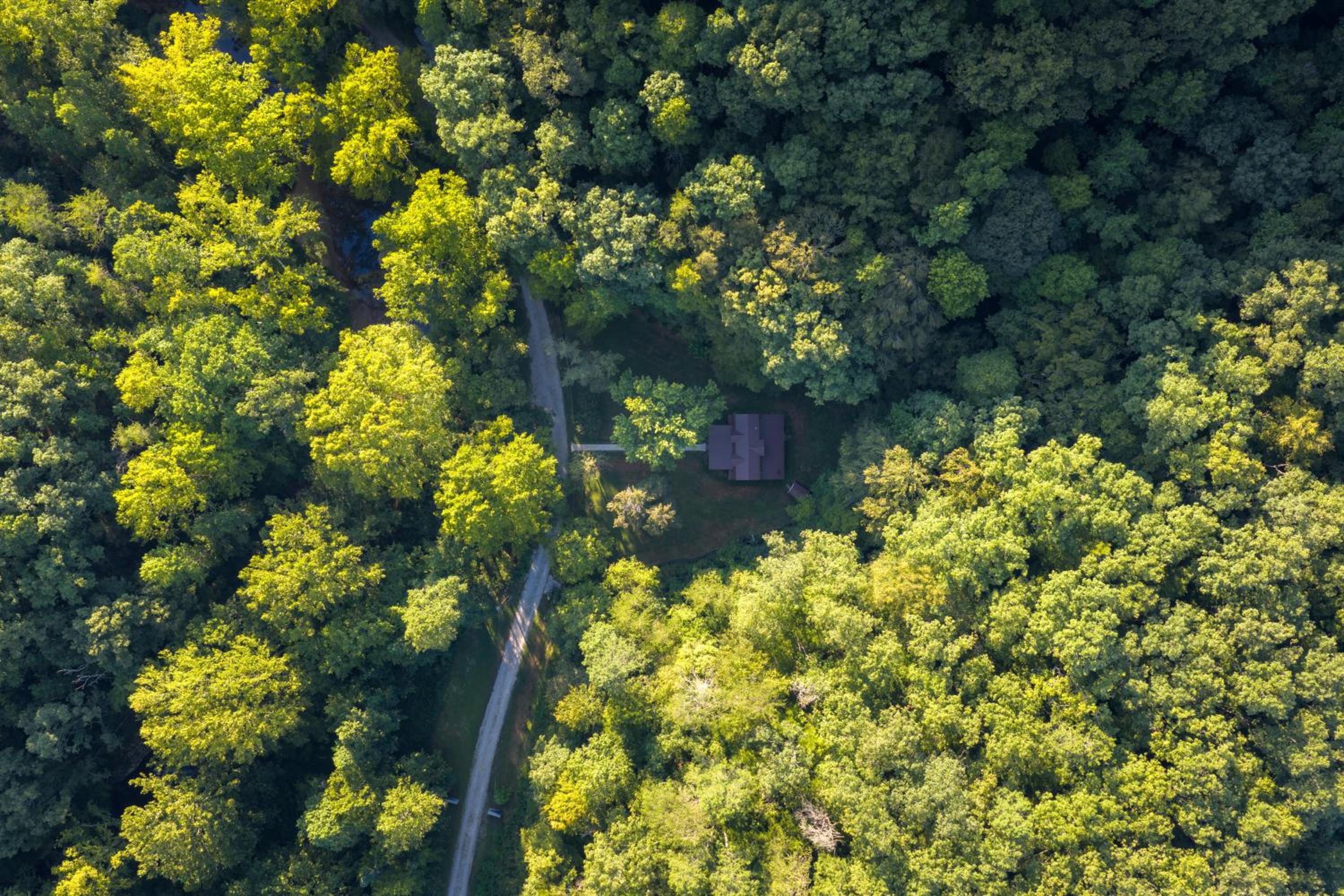 Riverstone Cabin and Retreat