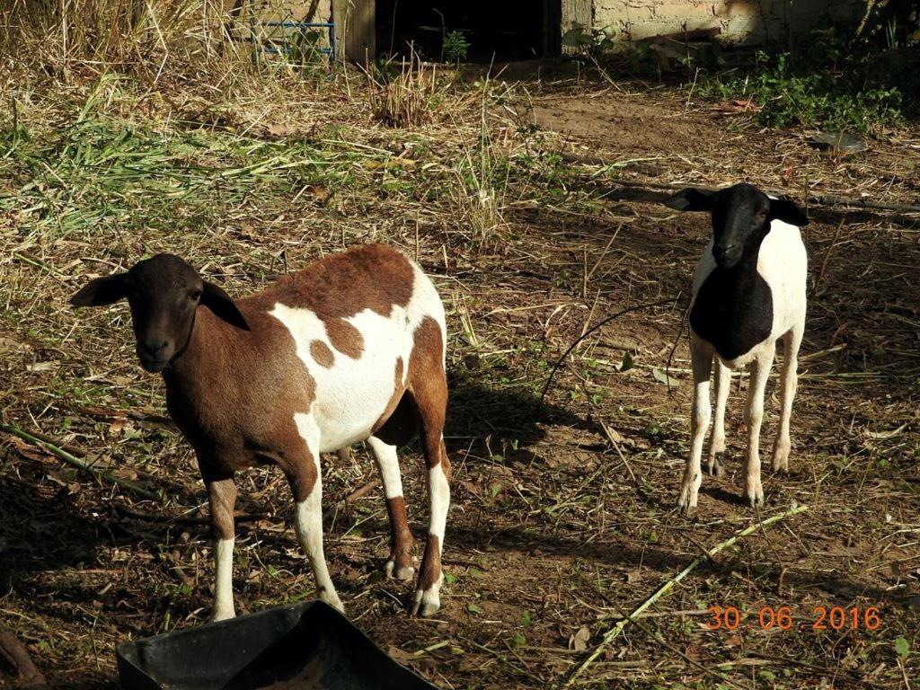 Pousada Famiglia Barthô