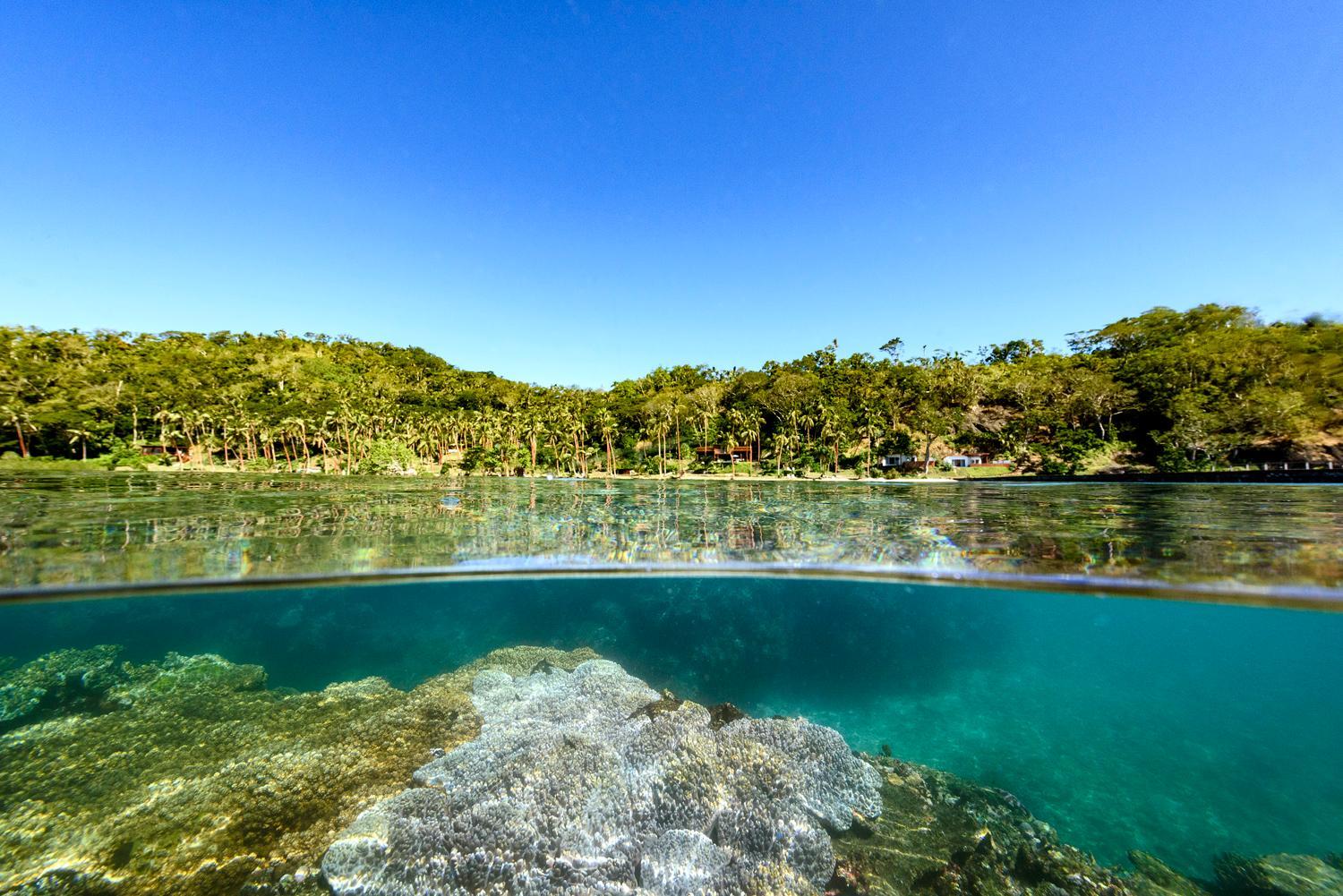 The Remote Resort