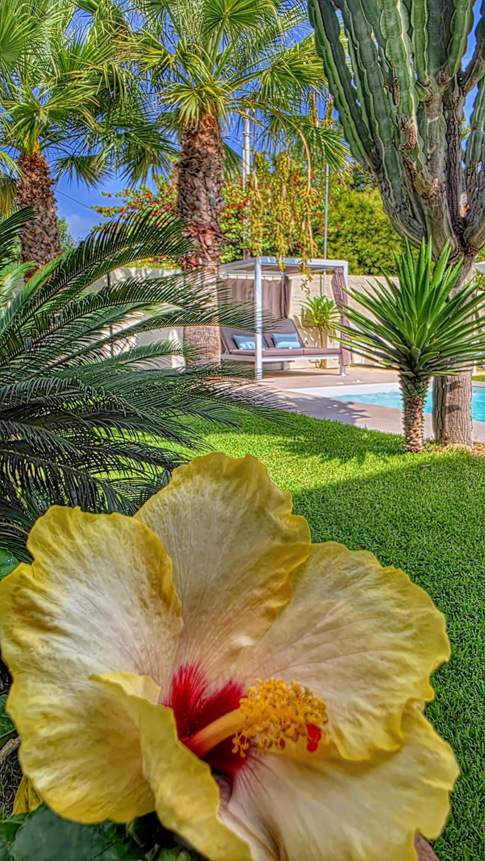 SHATI LUXURY - Private Heated Pool