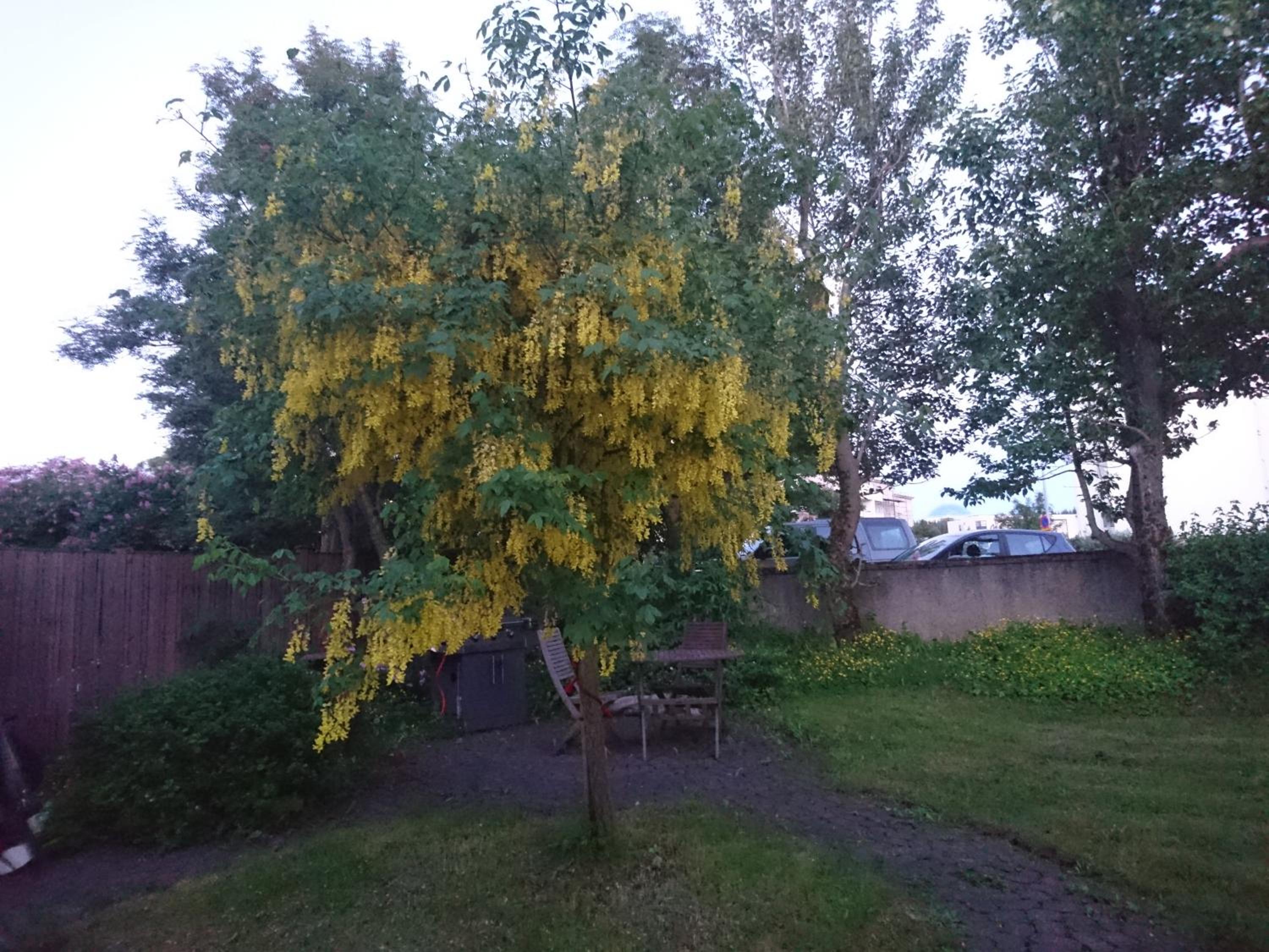 Photo 38