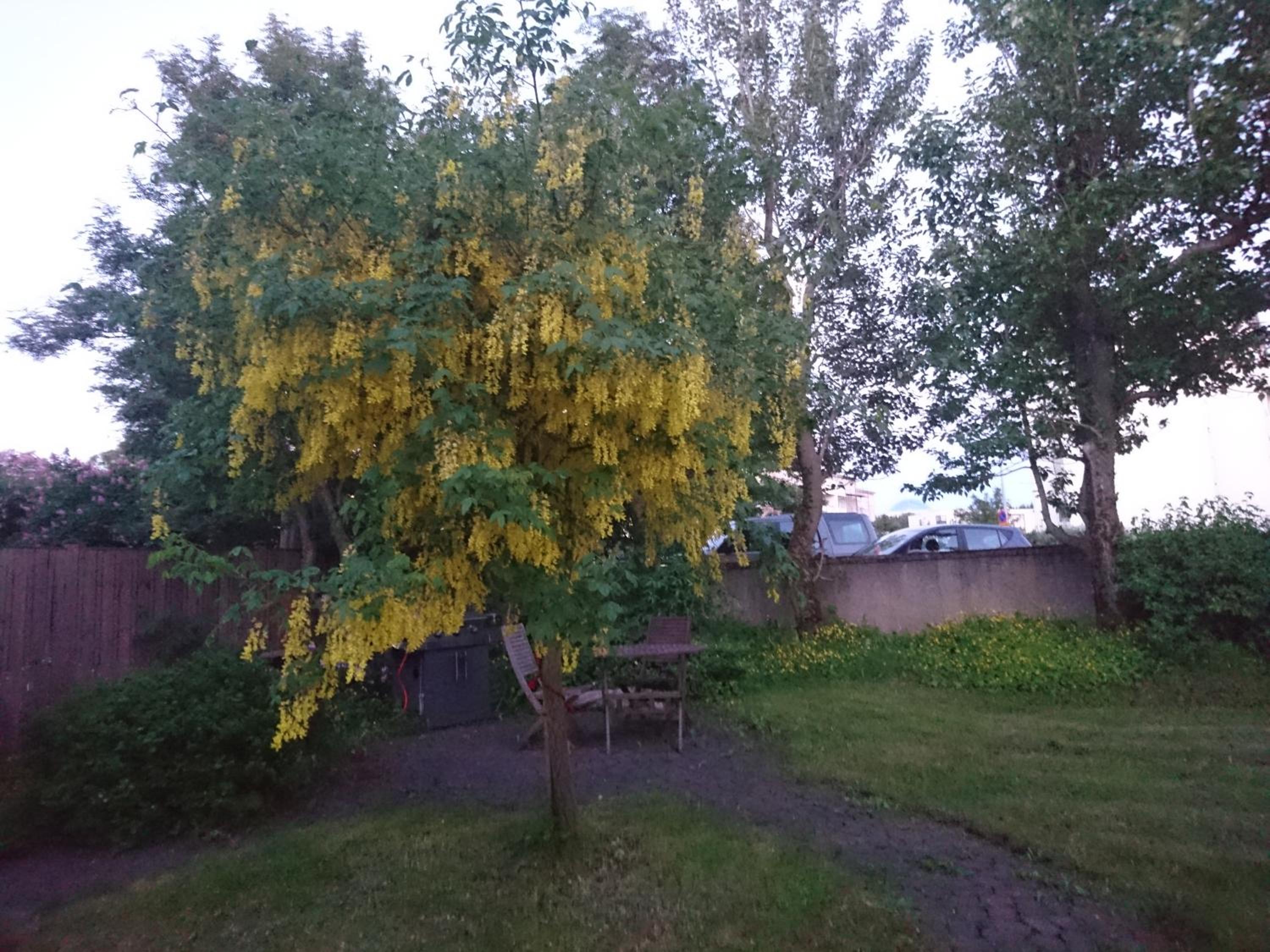Photo 39