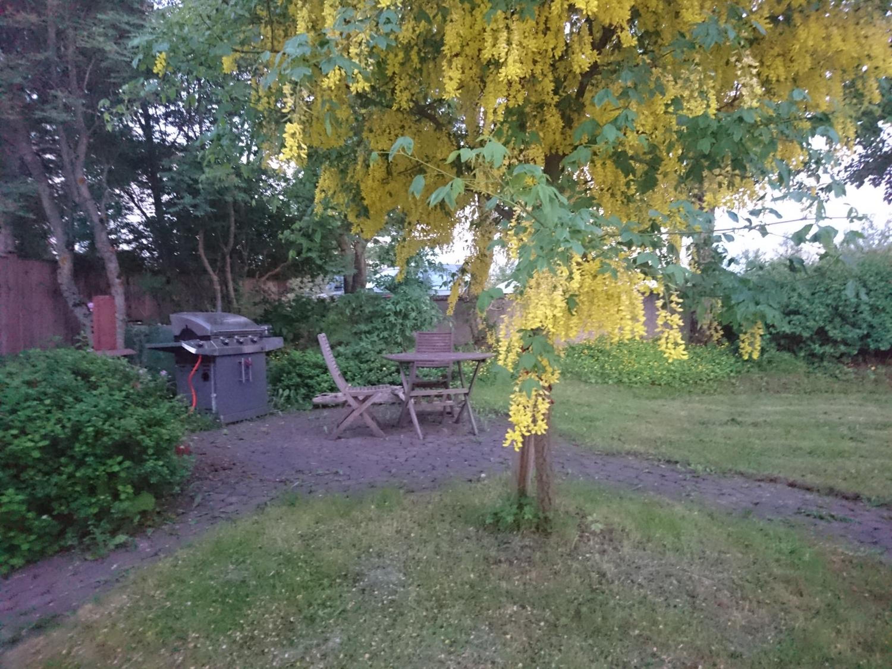 Photo 40