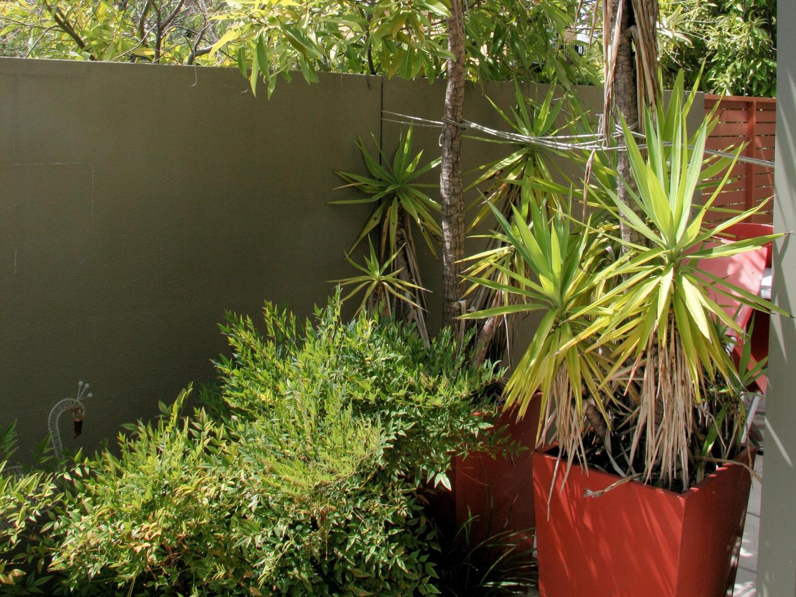 Chaucer Palms Boutique B&B