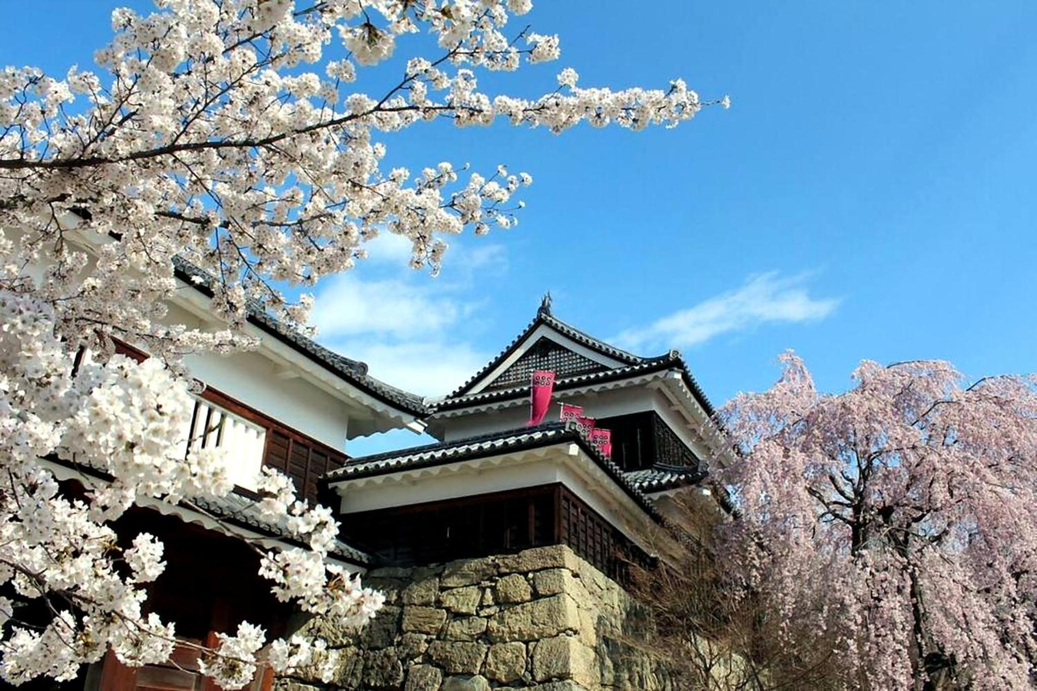 民泊 千本桜