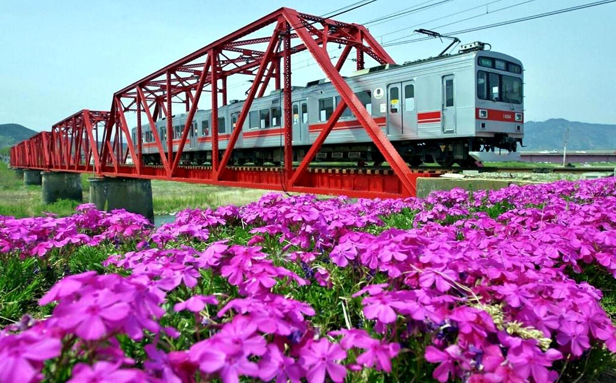 民泊 千本桜