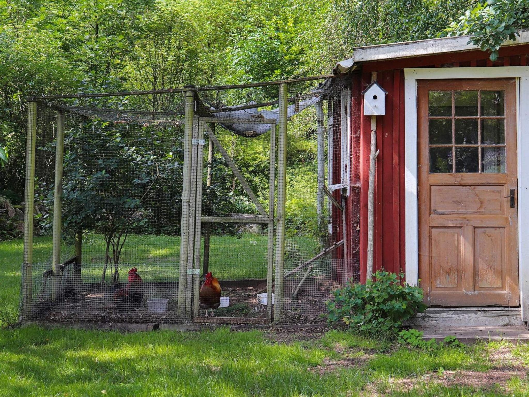 6 person holiday home in ÖRKELJUNGA