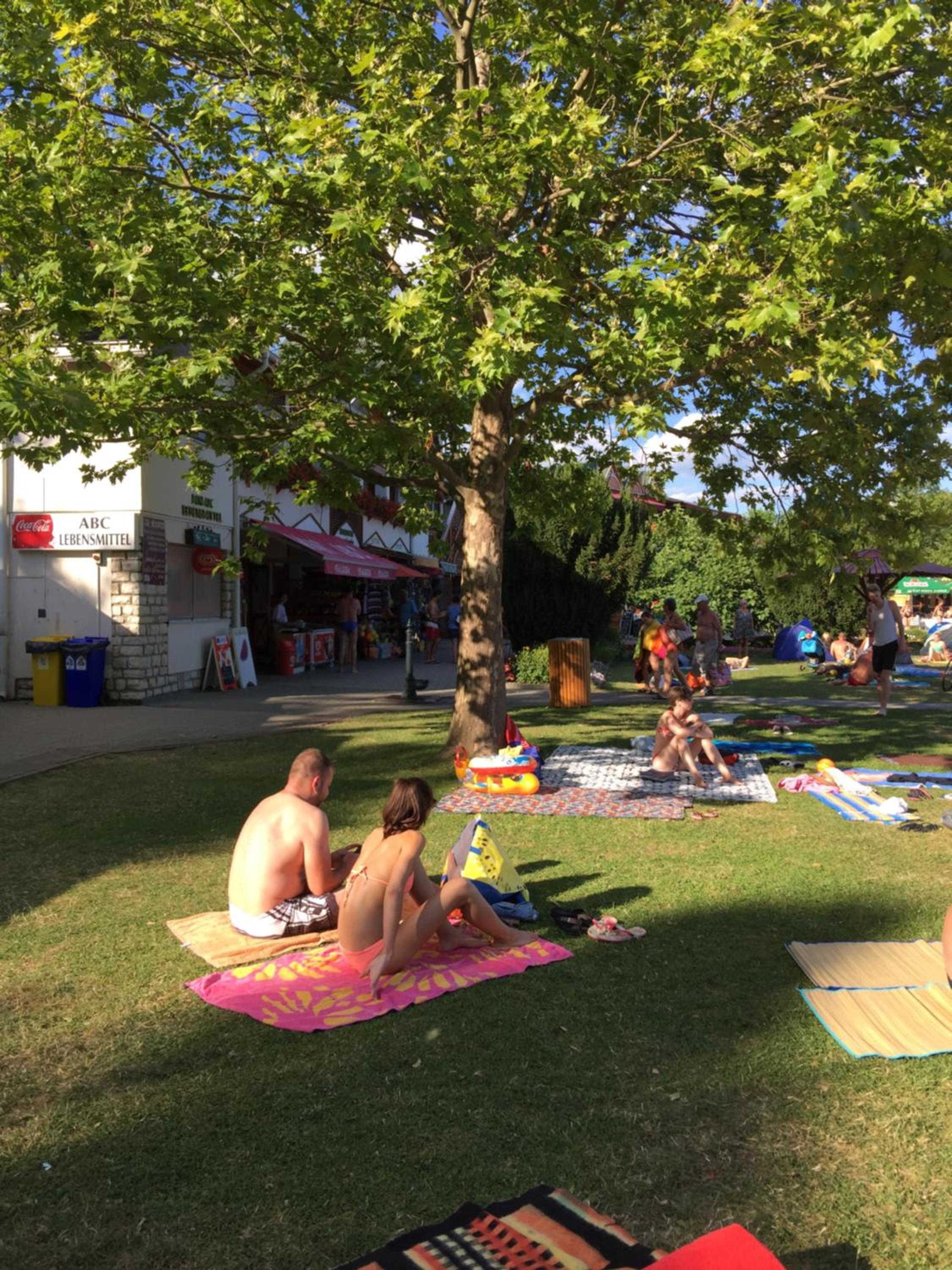 Photo 37