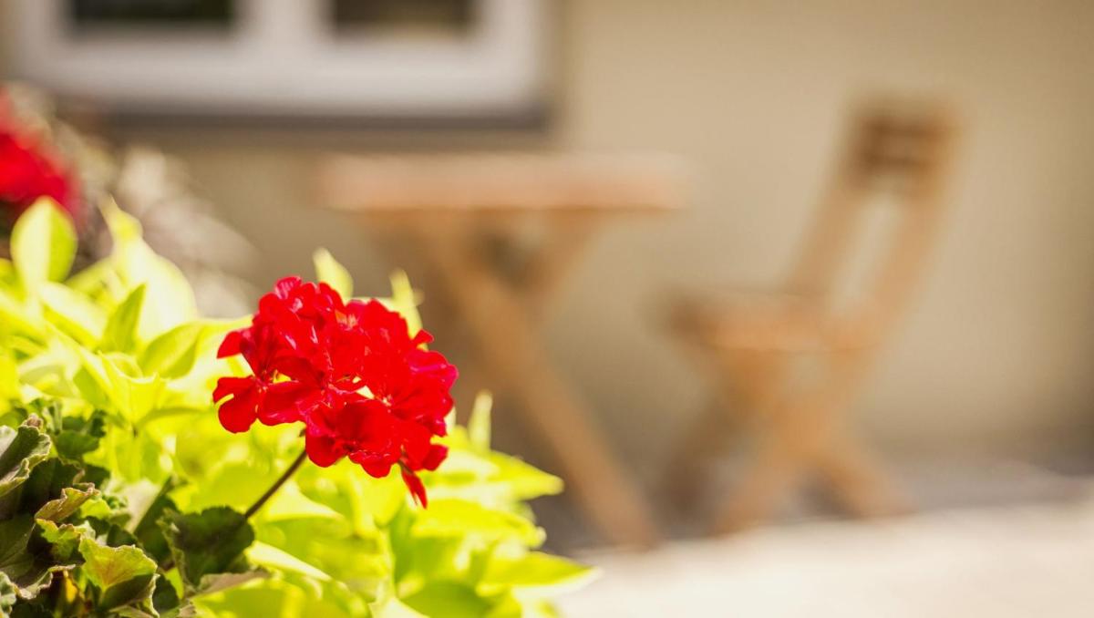 Vilnius Private Stay