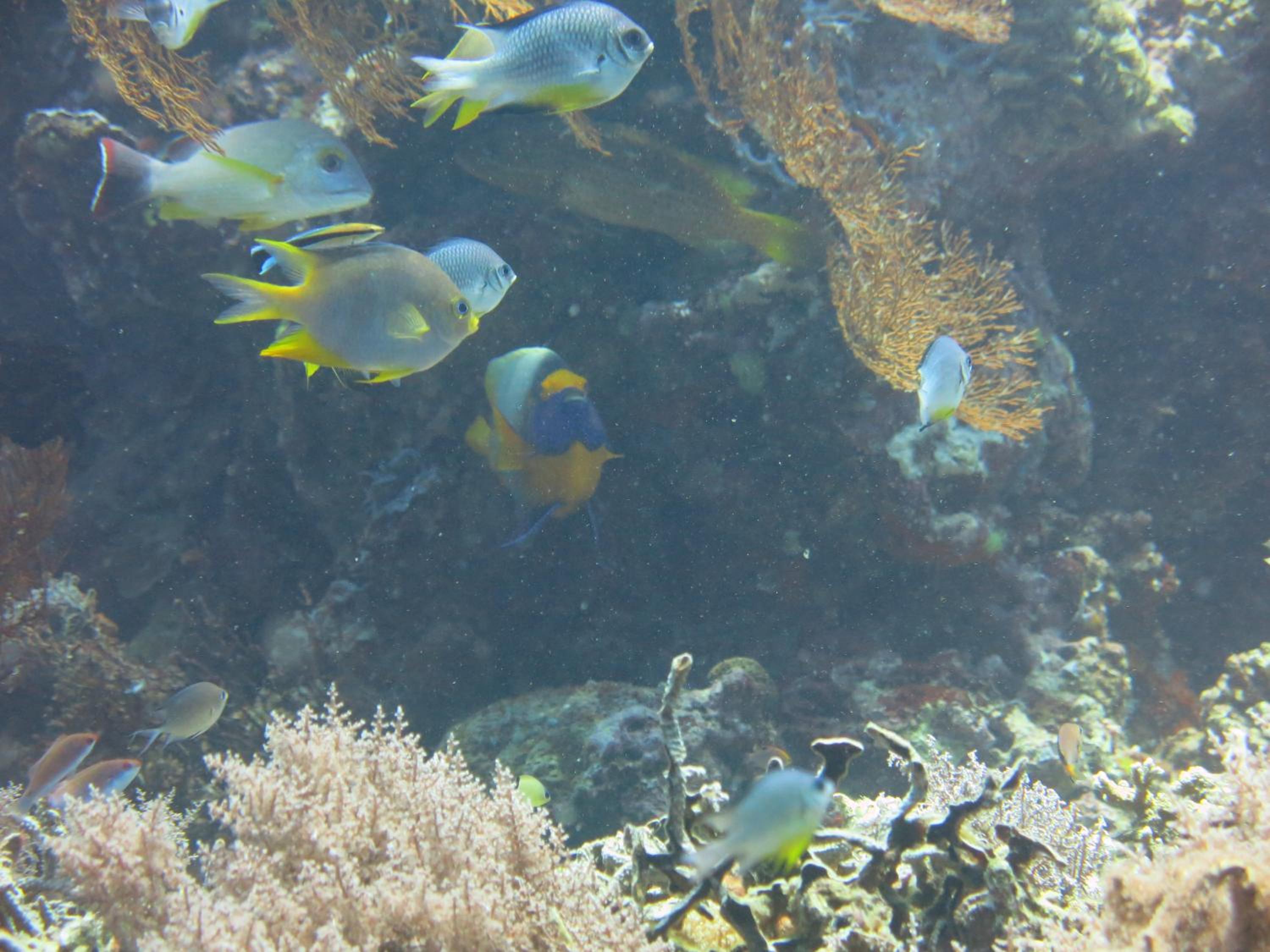 Photo 42