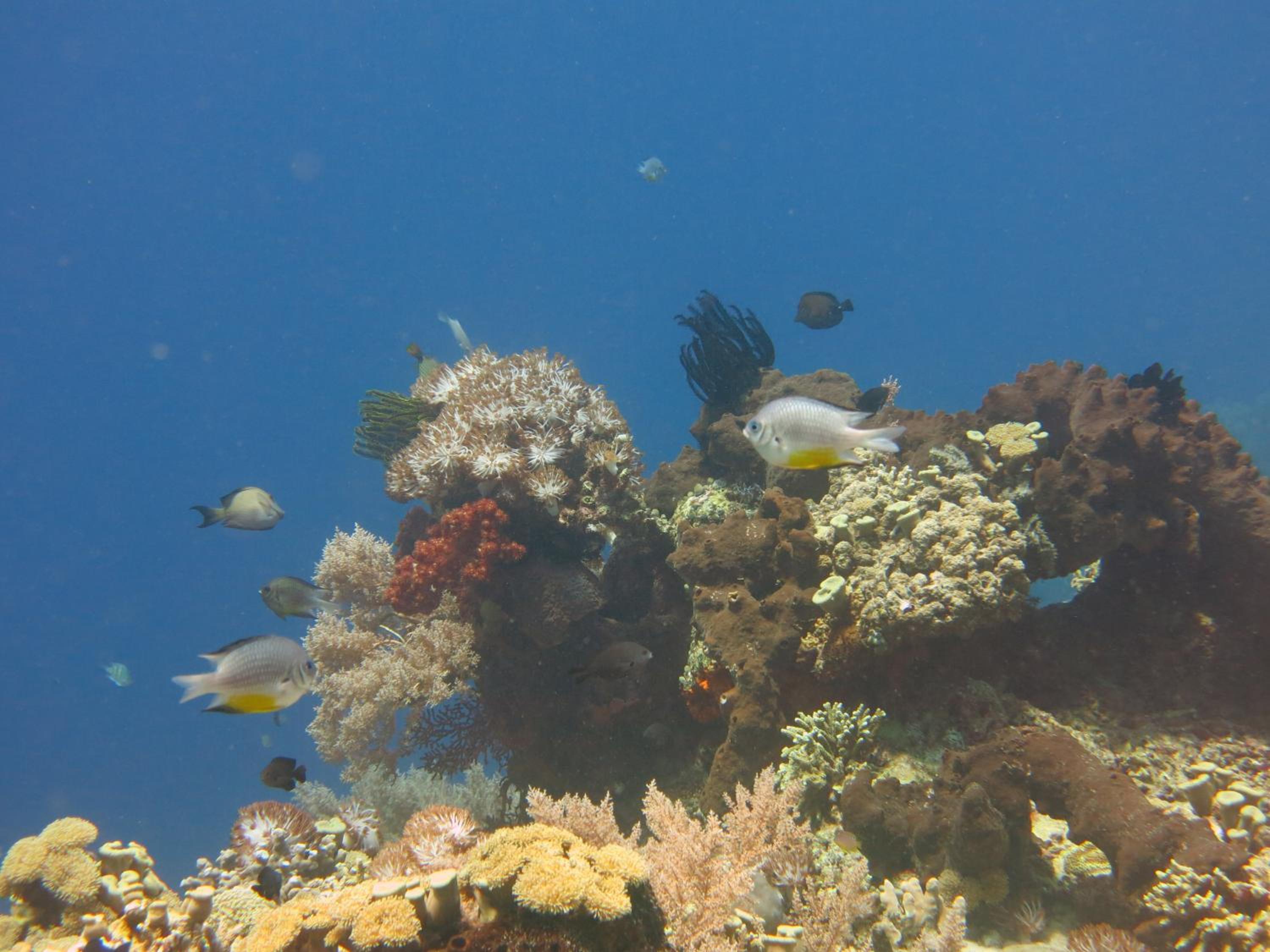 Photo 47