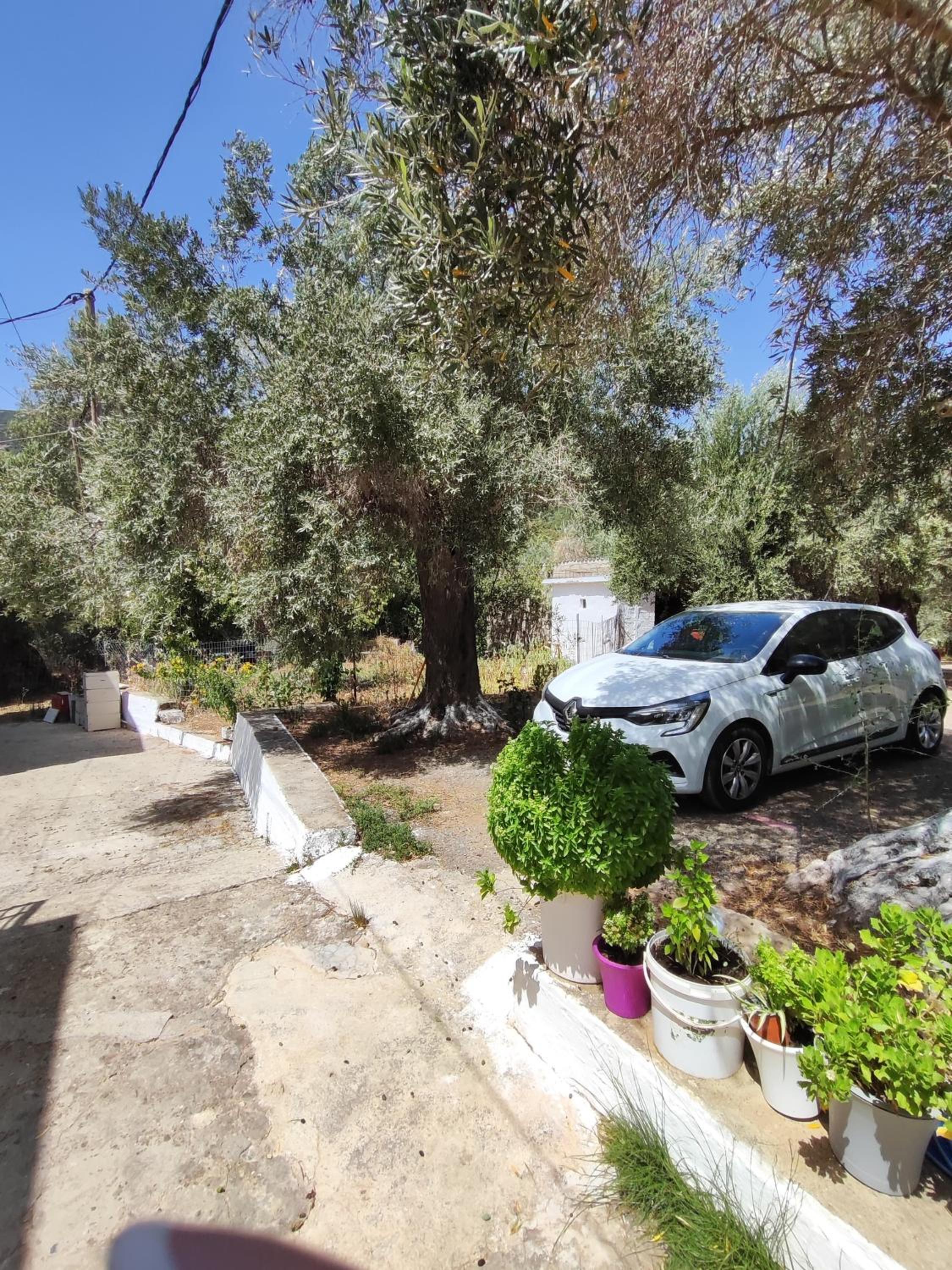 Nature House Vlatos
