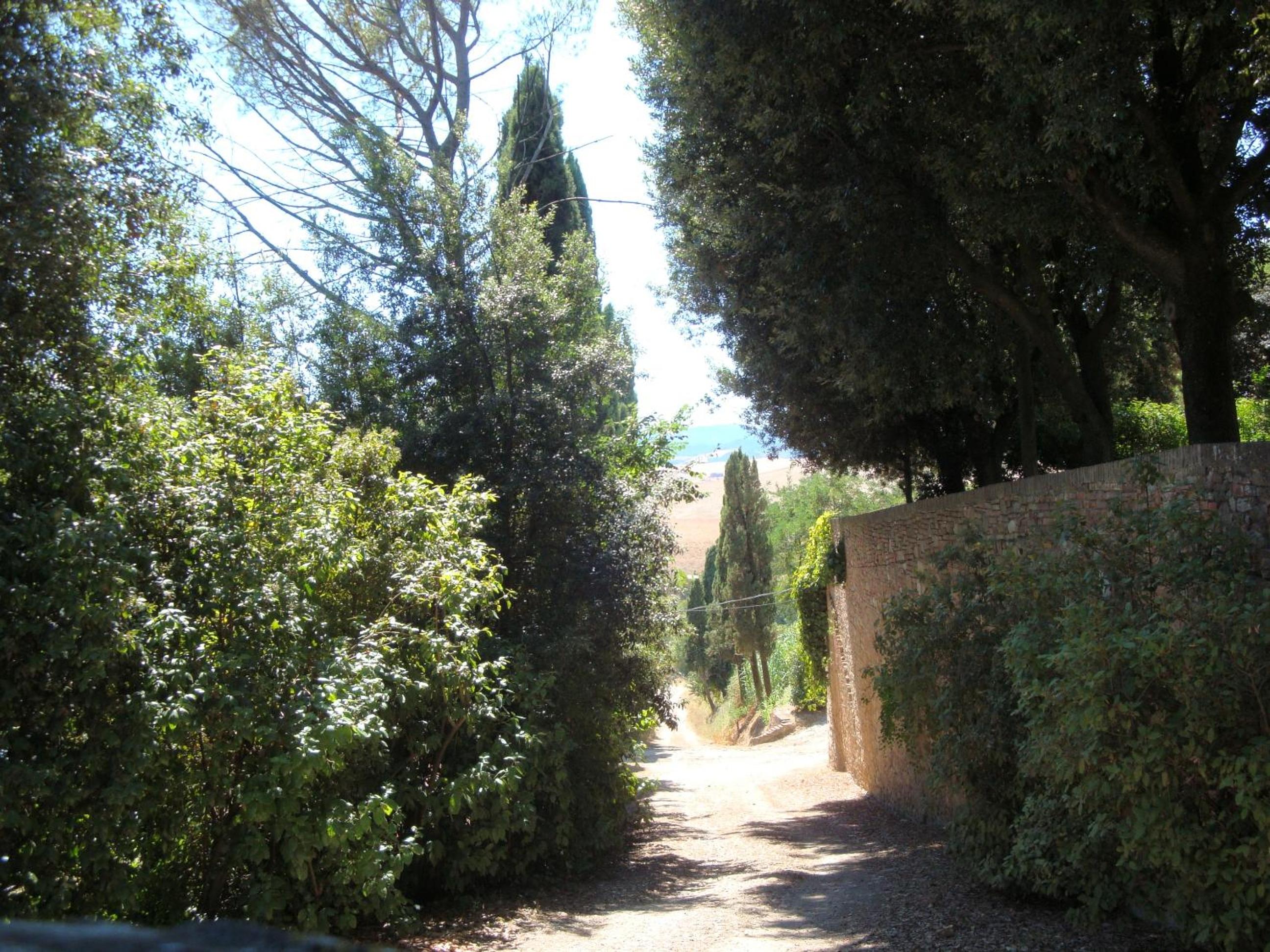 Photo 39