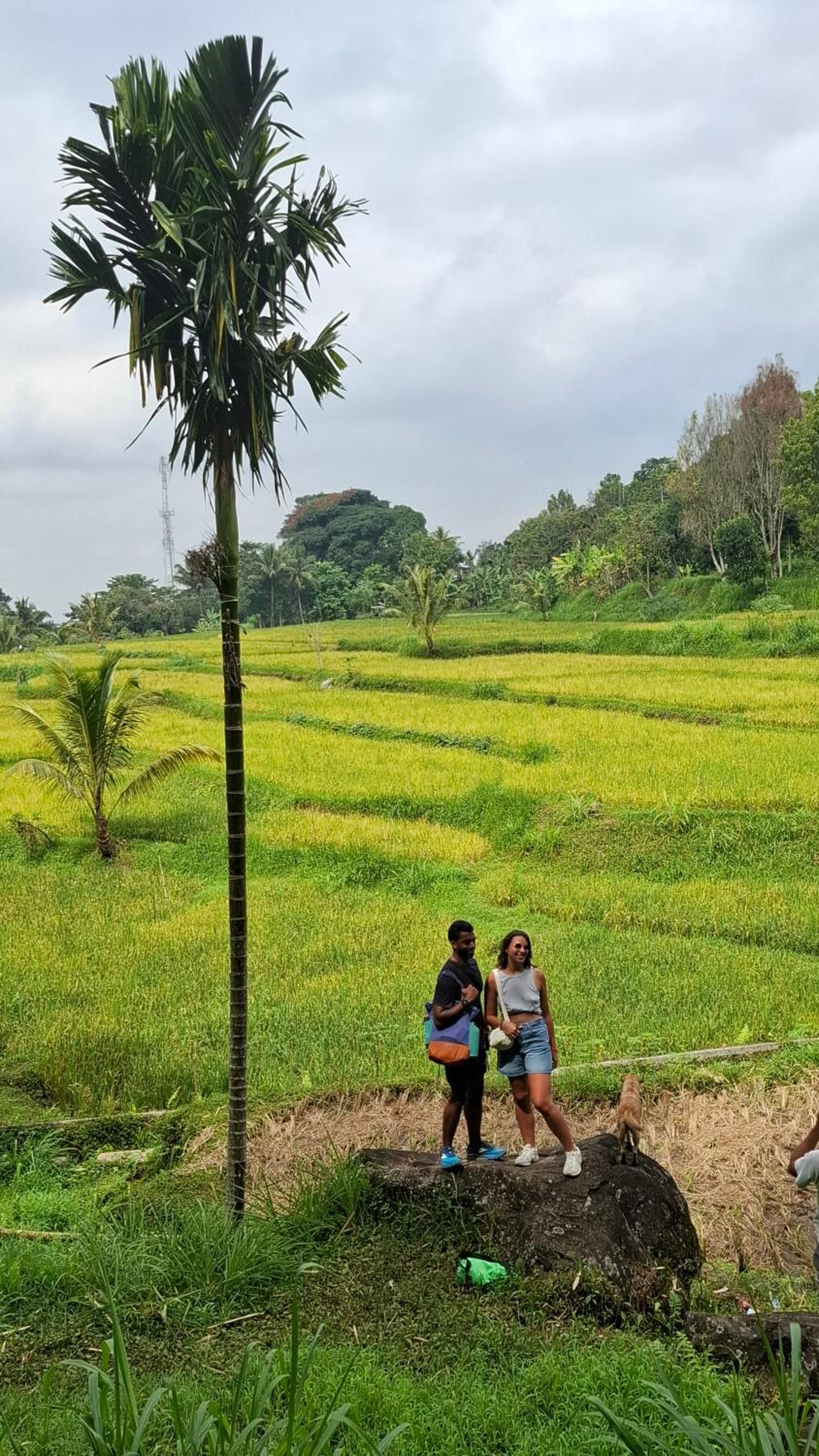 Bamboo Craft Homestay