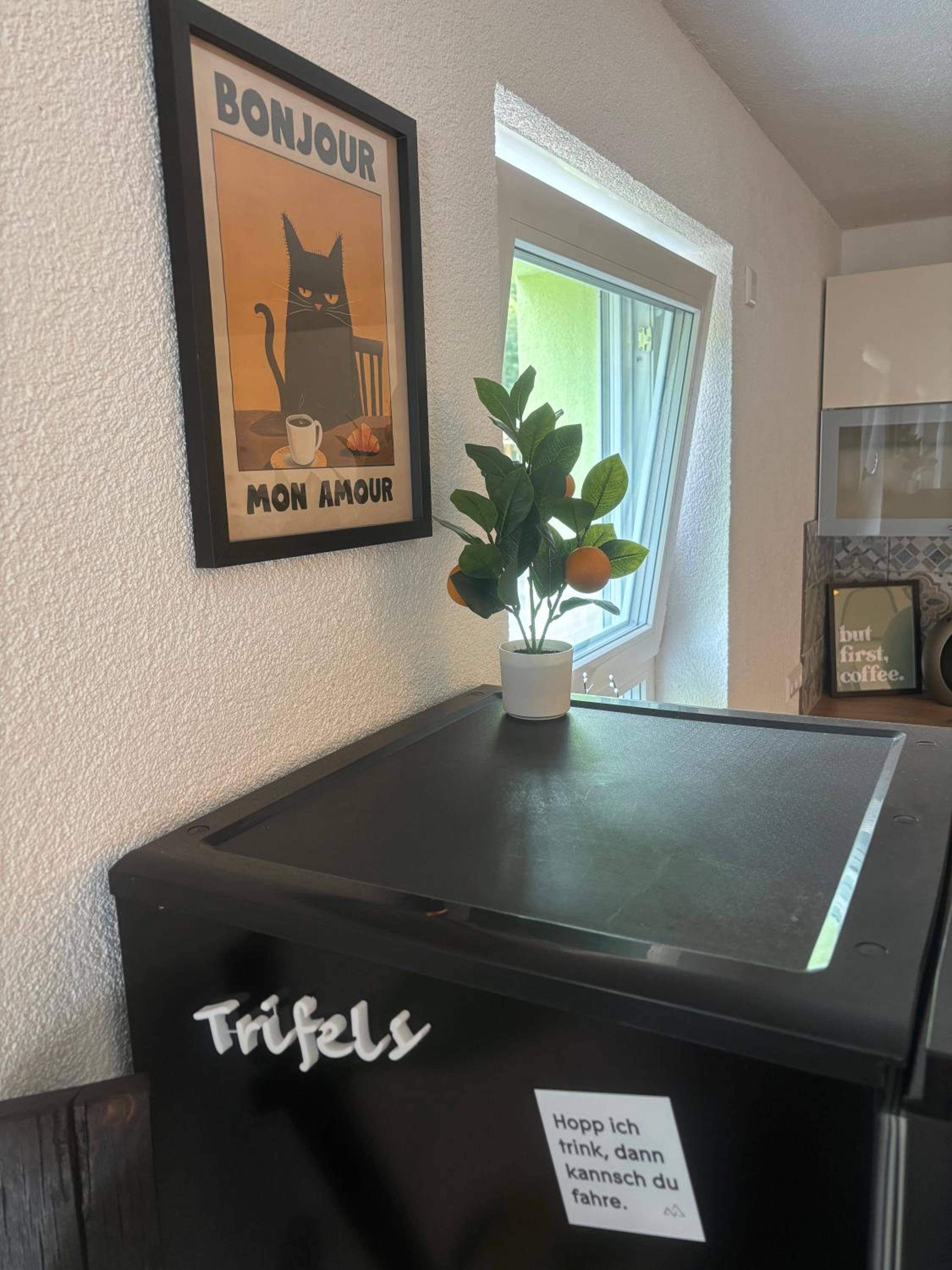 Pfalzliebe