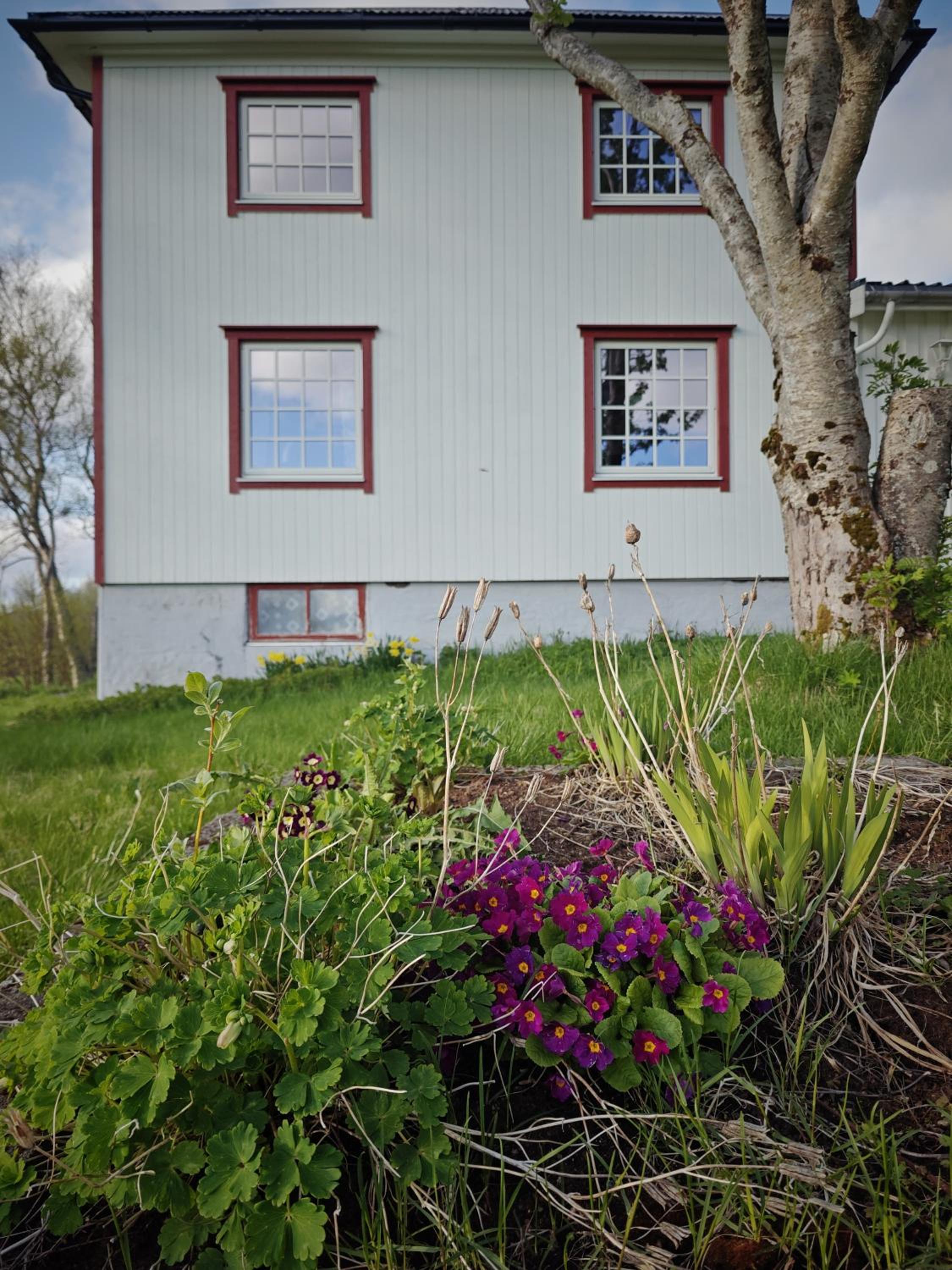 2 Houses & A Barn Twin Room