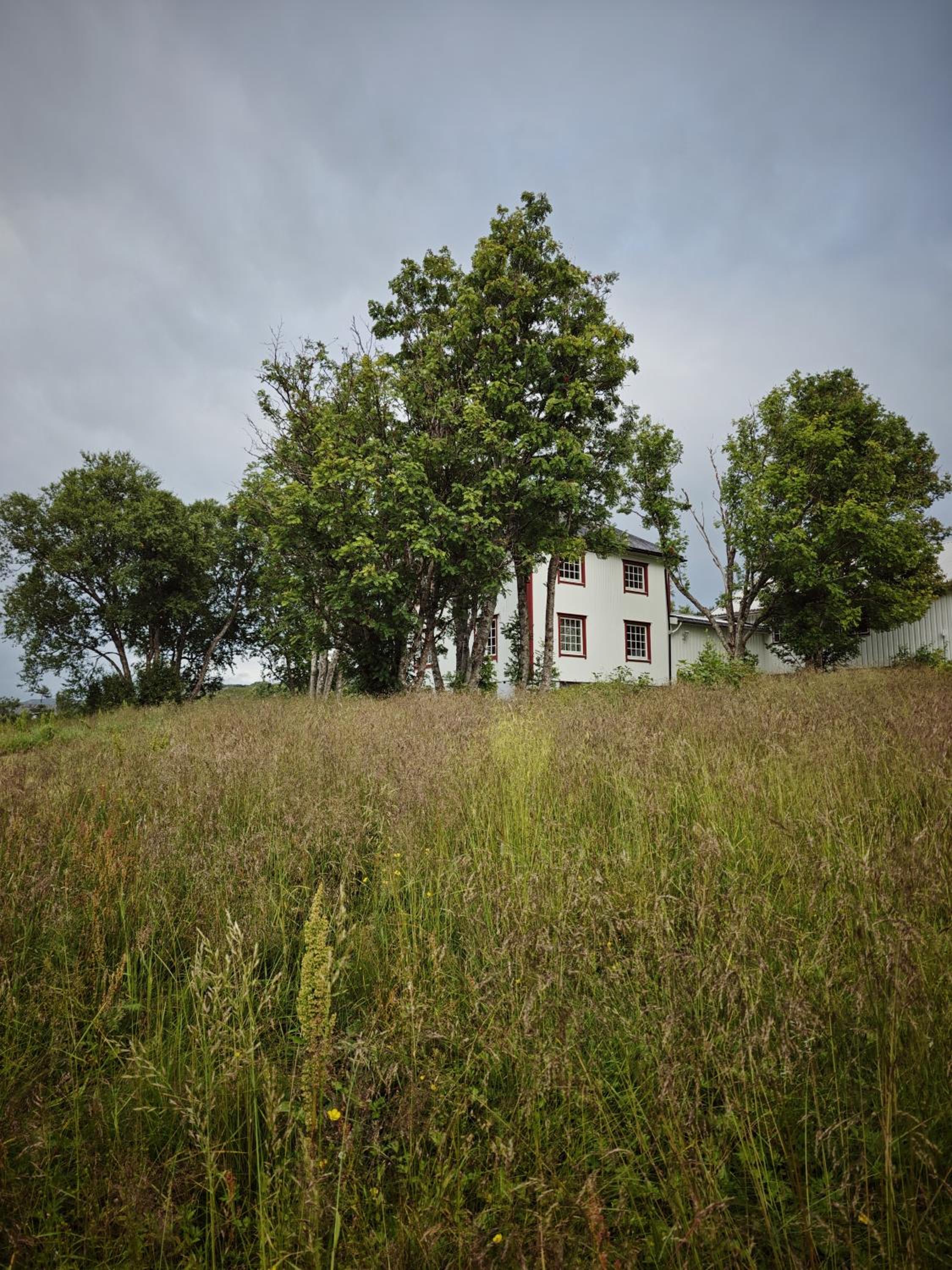 2 Houses & A Barn Twin Room