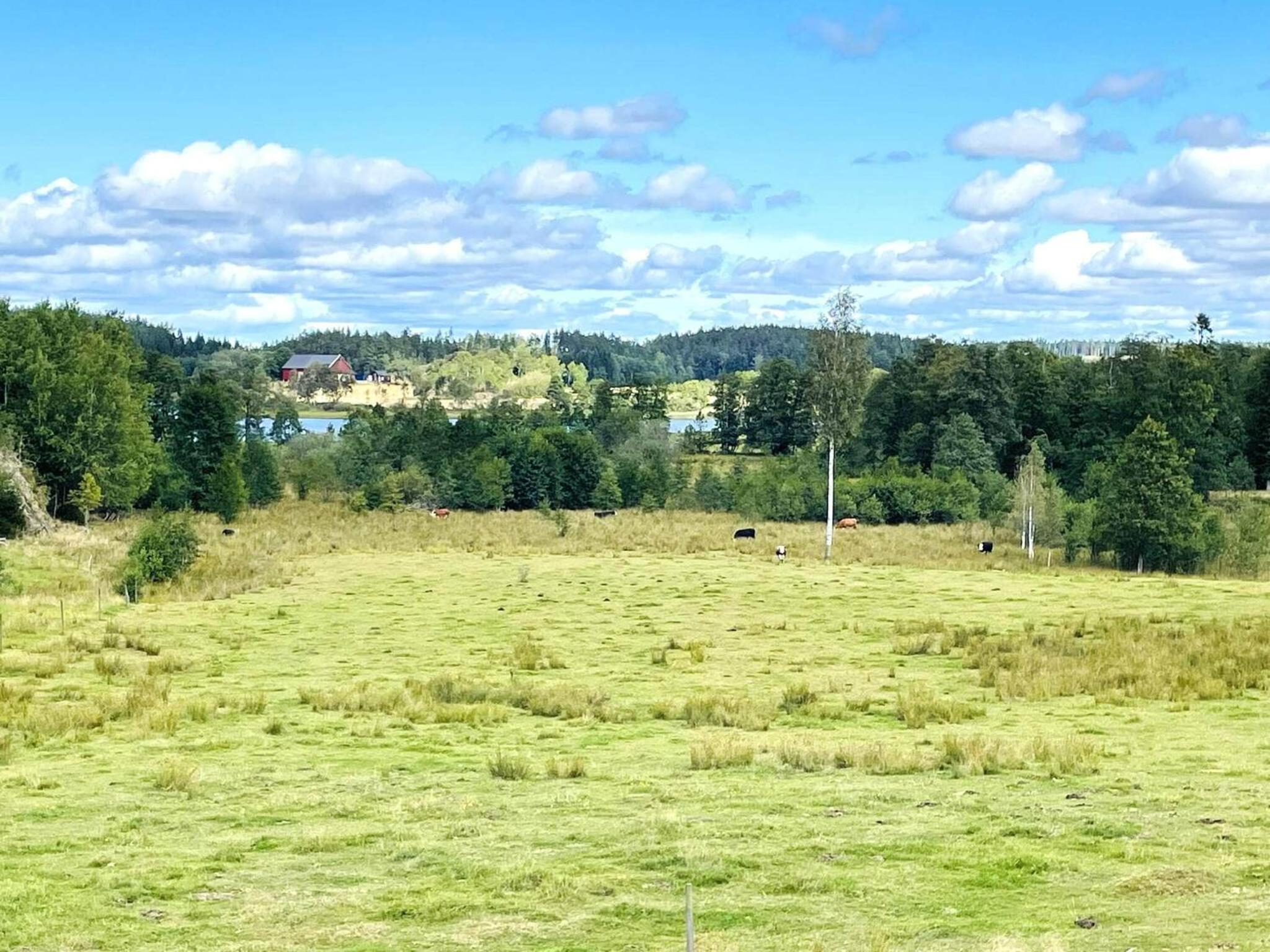 4 person holiday home in UDDEVALLA