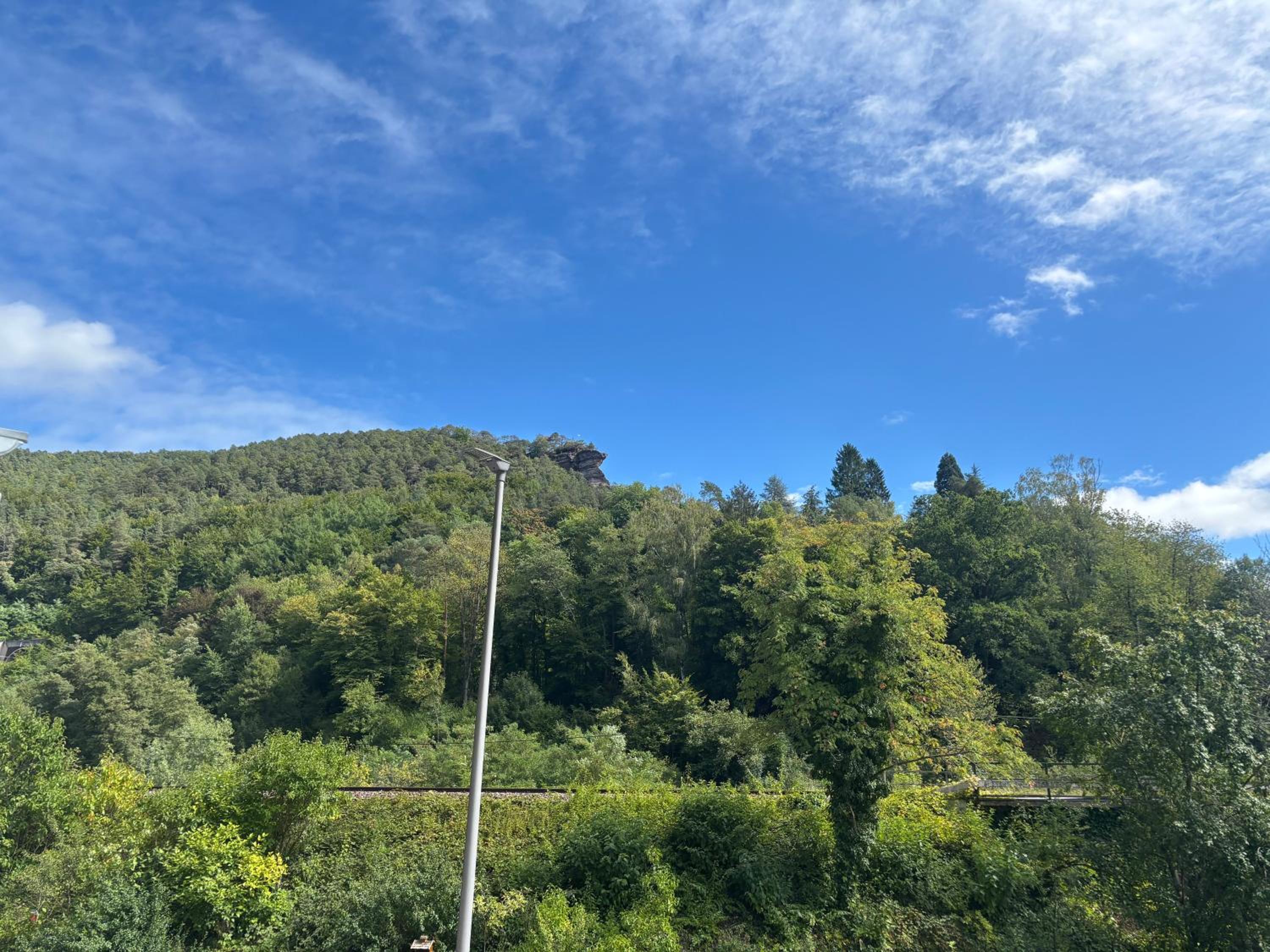 Pfalzliebe