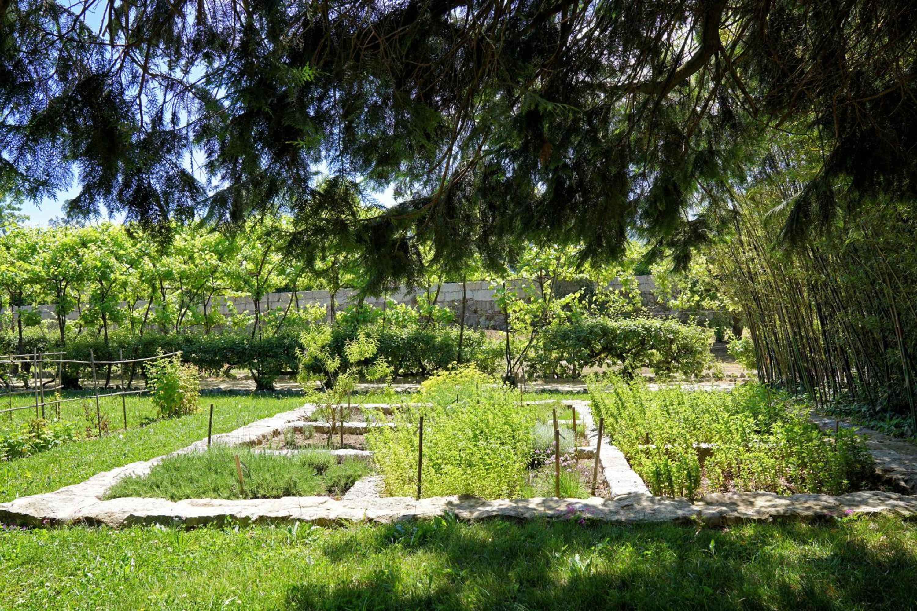 Photo 49