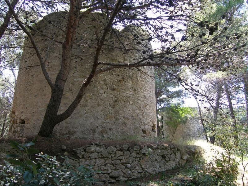 Photo 24