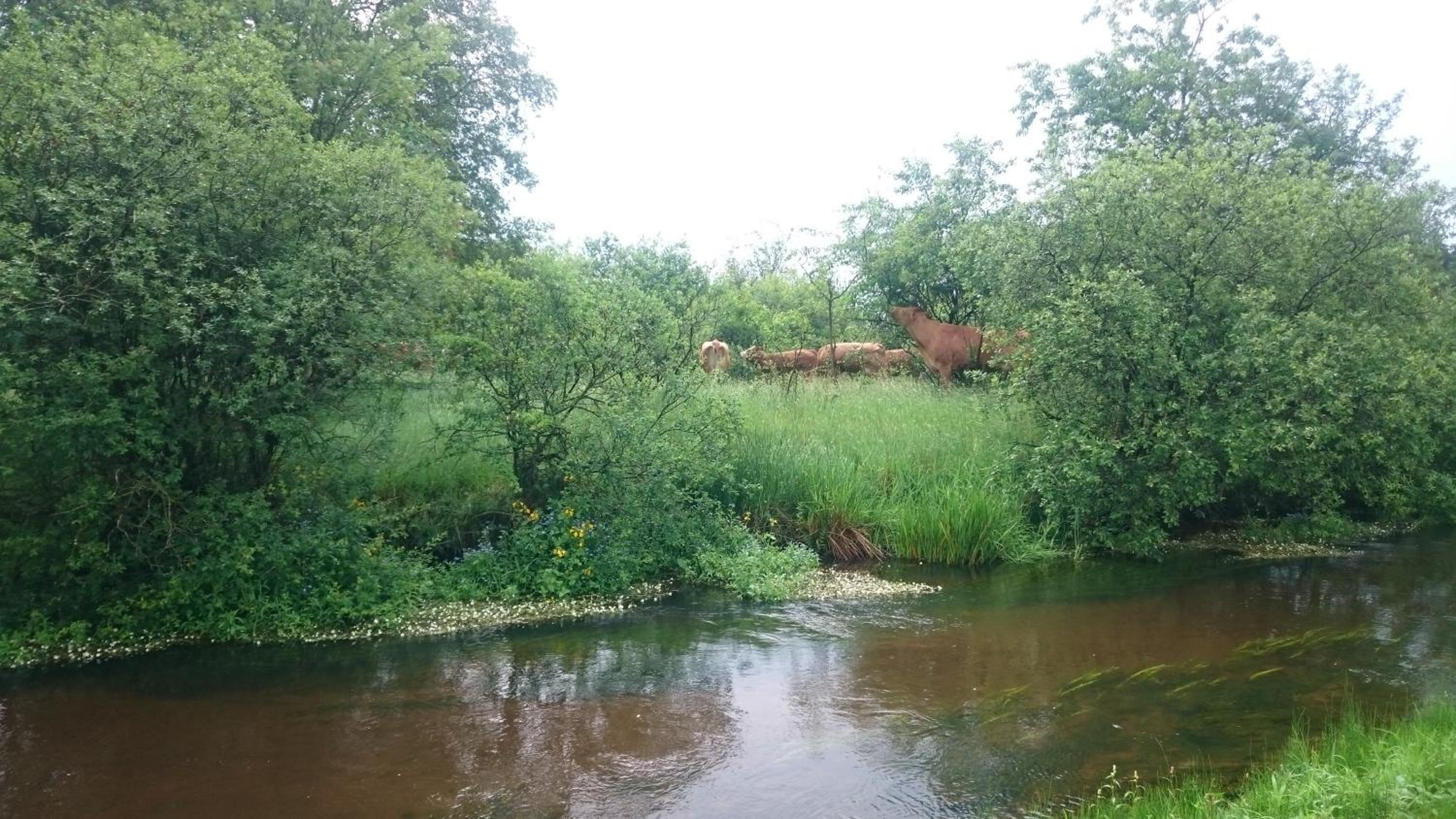 Aagaarden