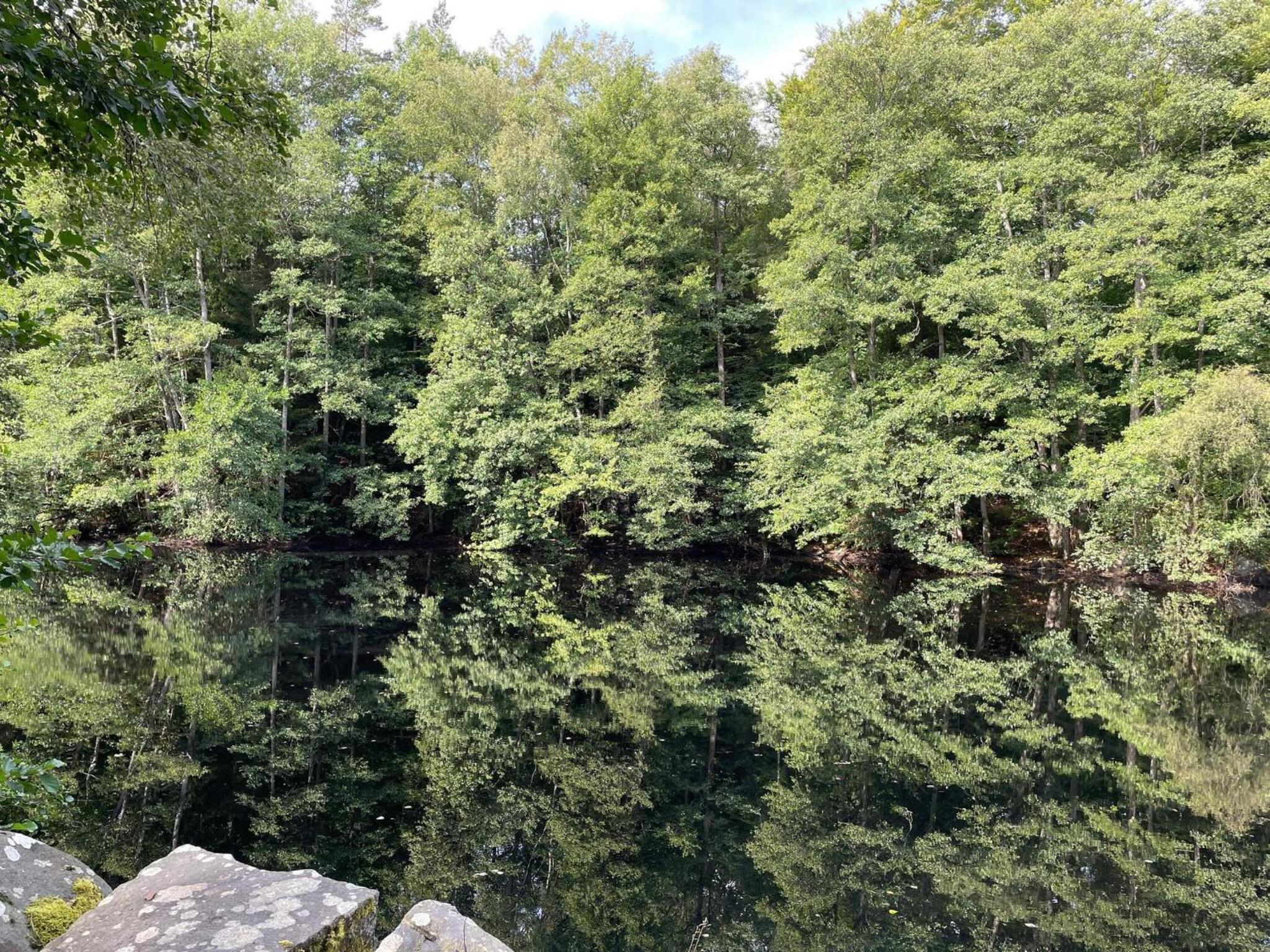 5 person holiday home in Immeln