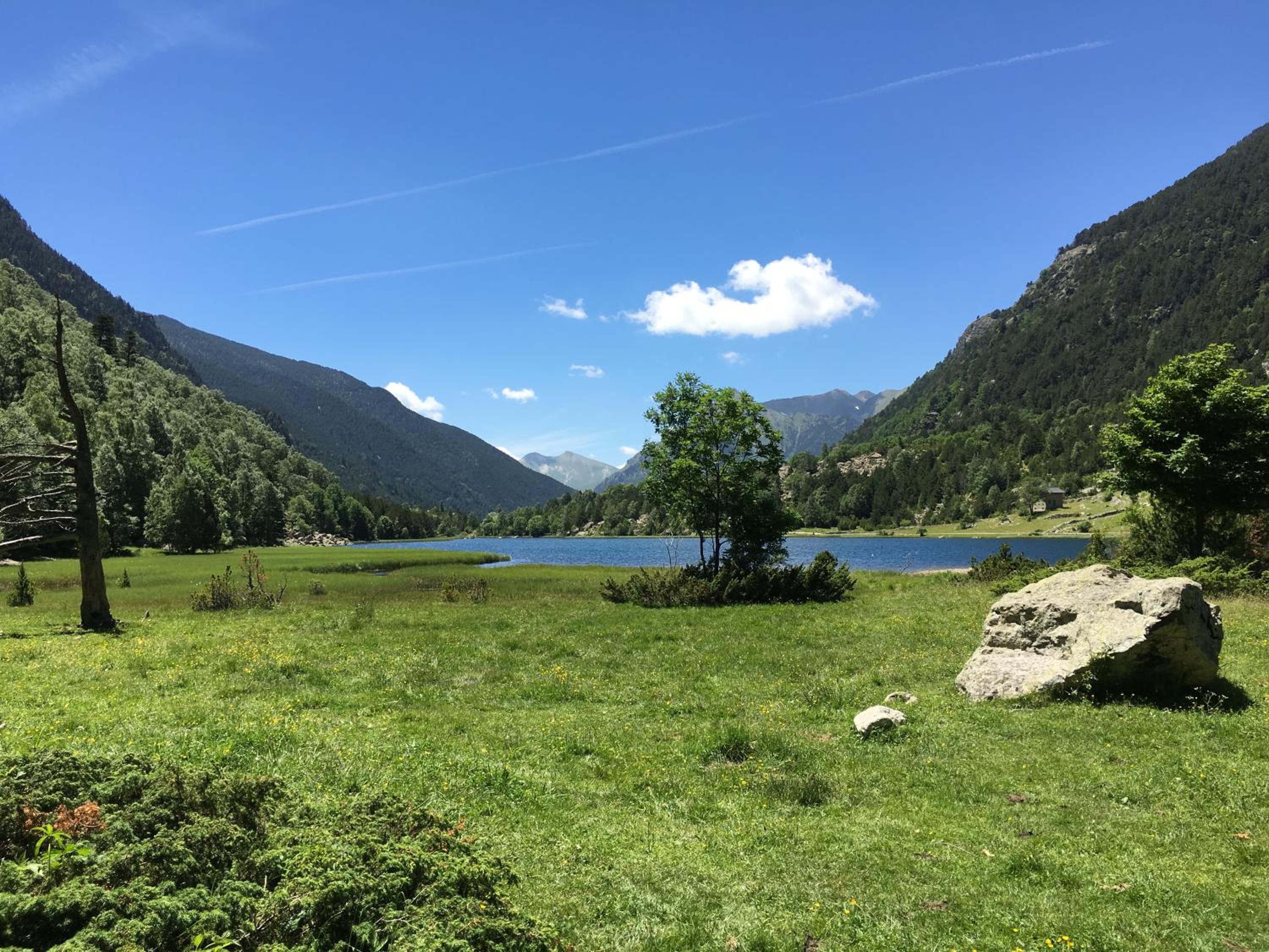 Anticforn view 4