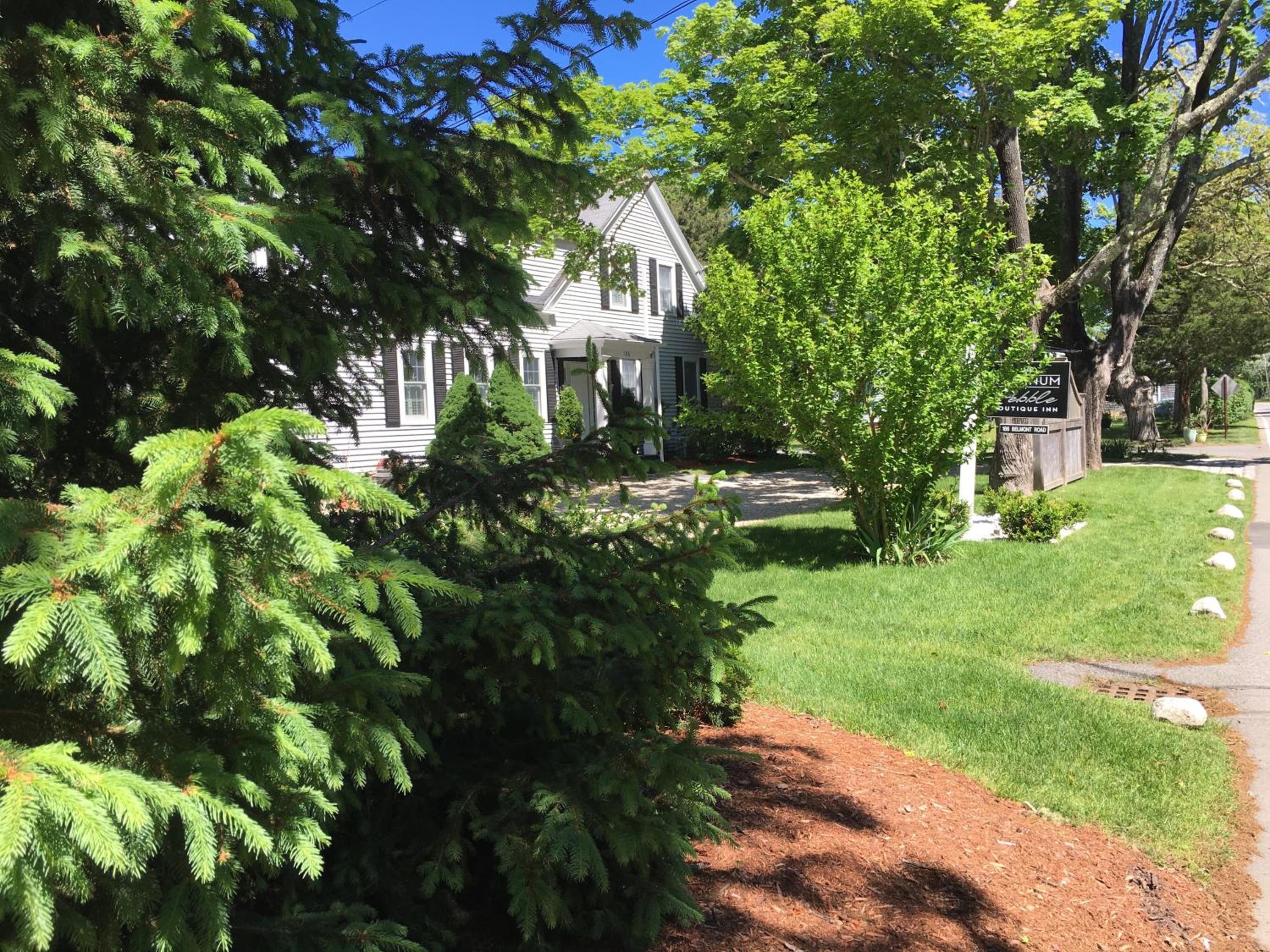 The Platinum Pebble Boutique Inn - Adults Only Property