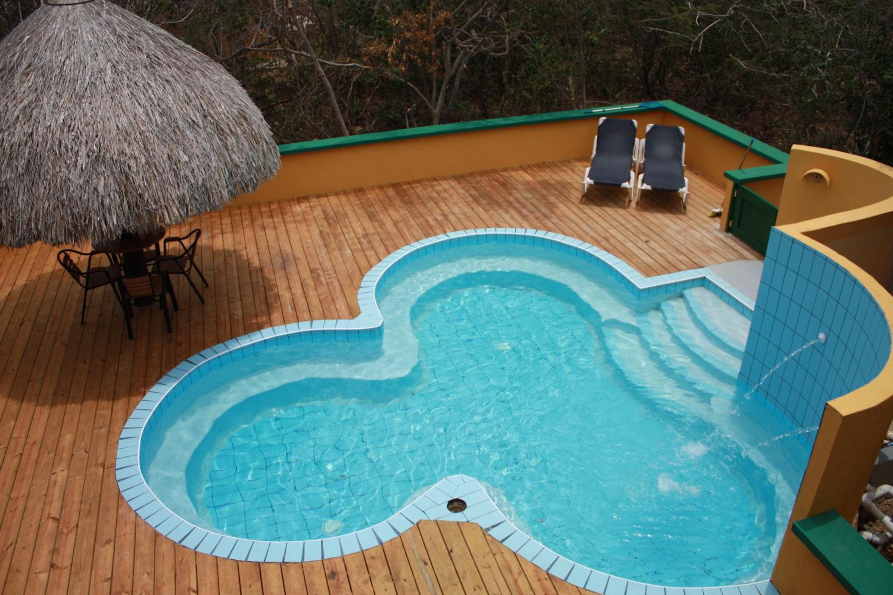 Dream of the Green Flamingo view 5