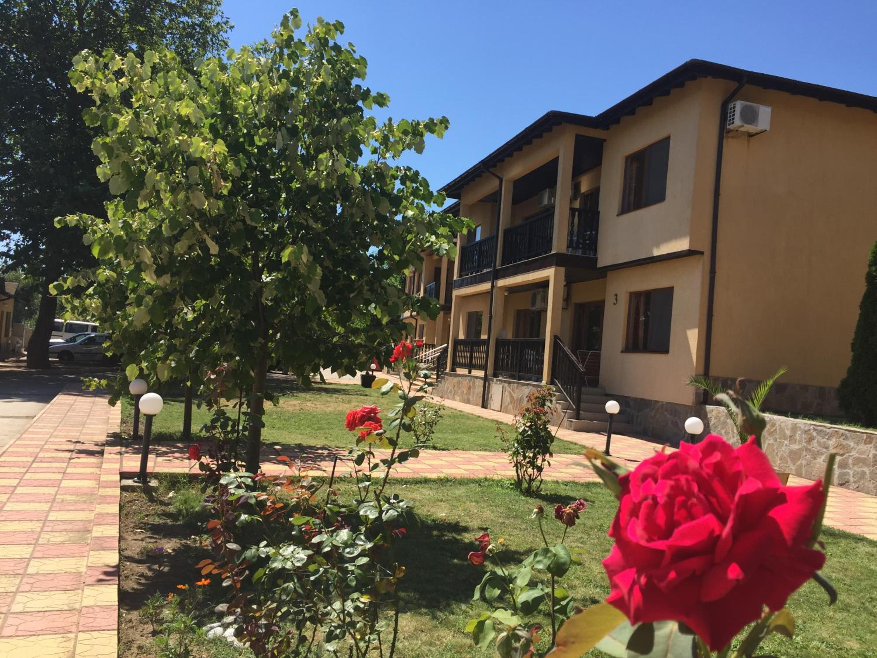 Complex Terazini view 3