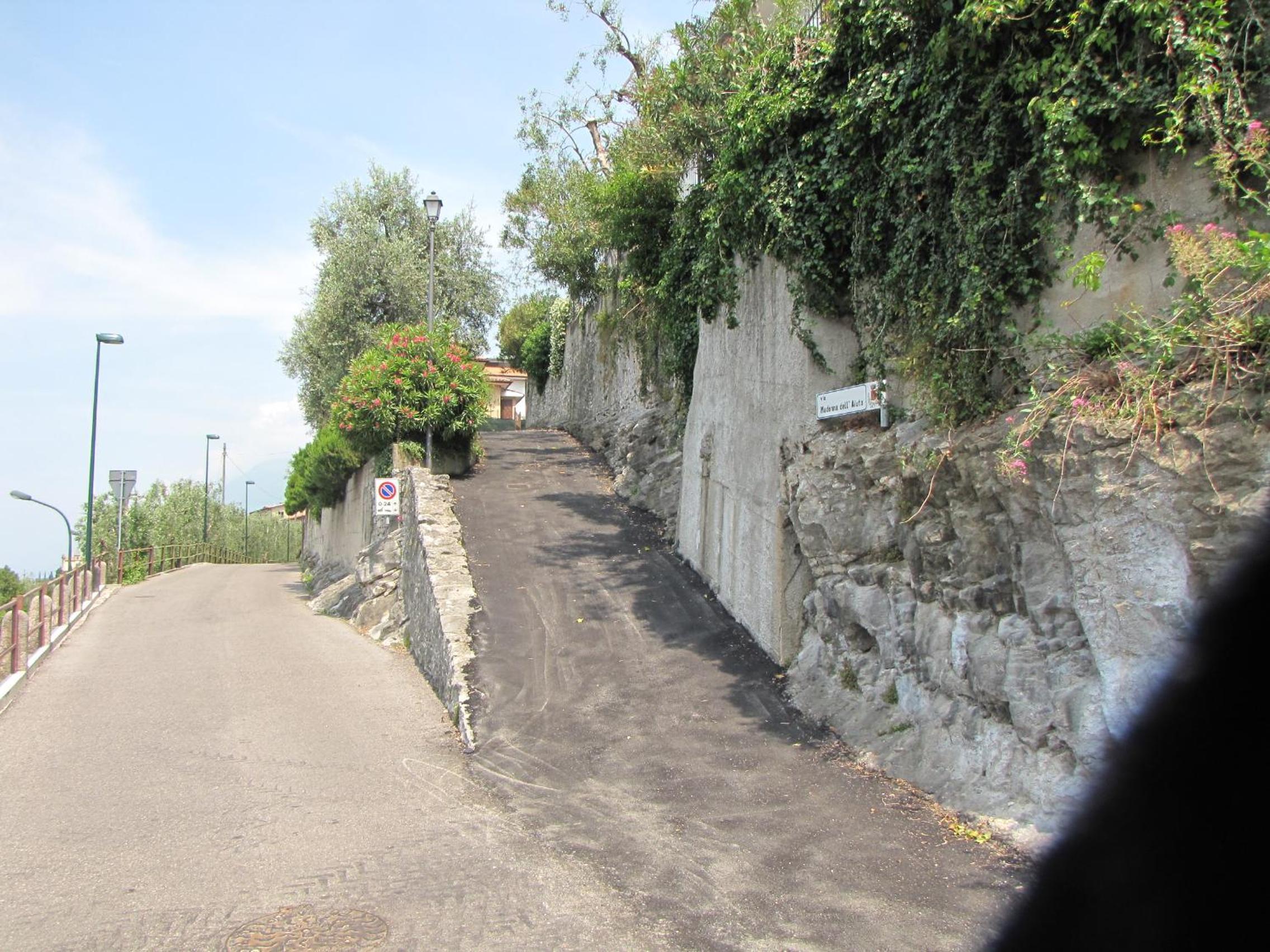 Madonna Dell'Aiuto True View Olivo view 5