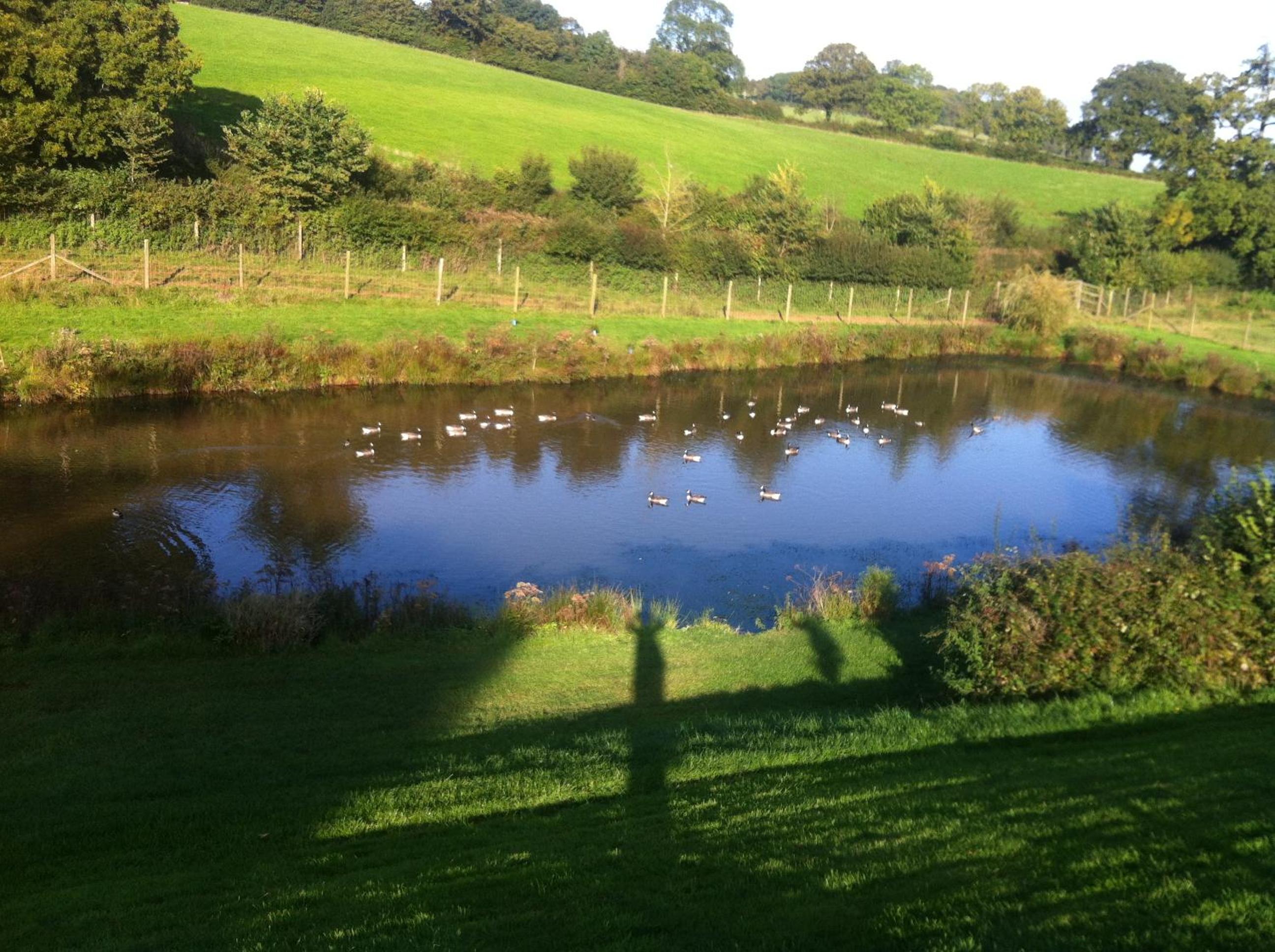 East Dunster Deer Farm B&B view 2