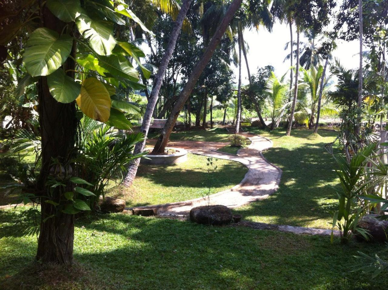 Photo 21