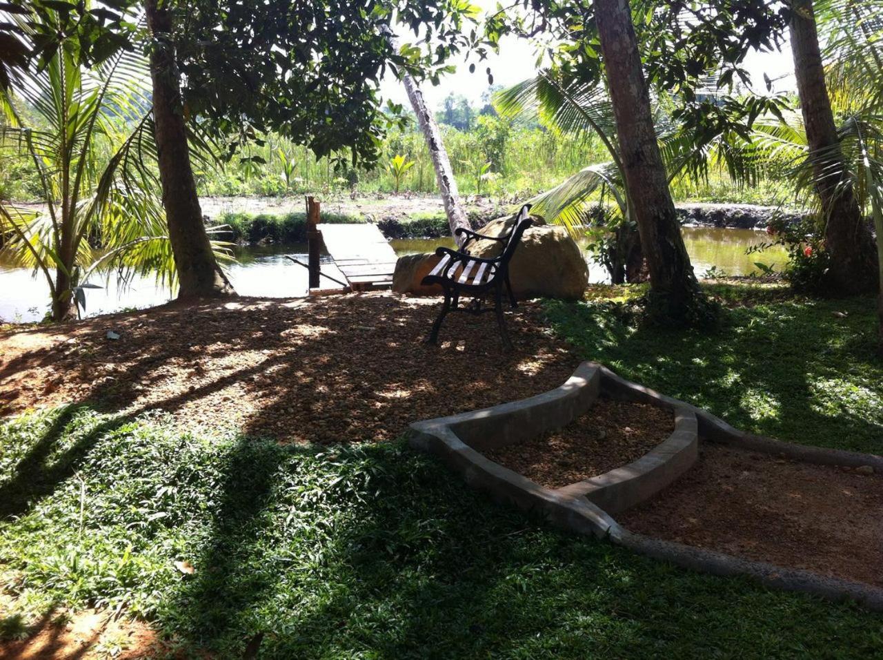 Photo 23
