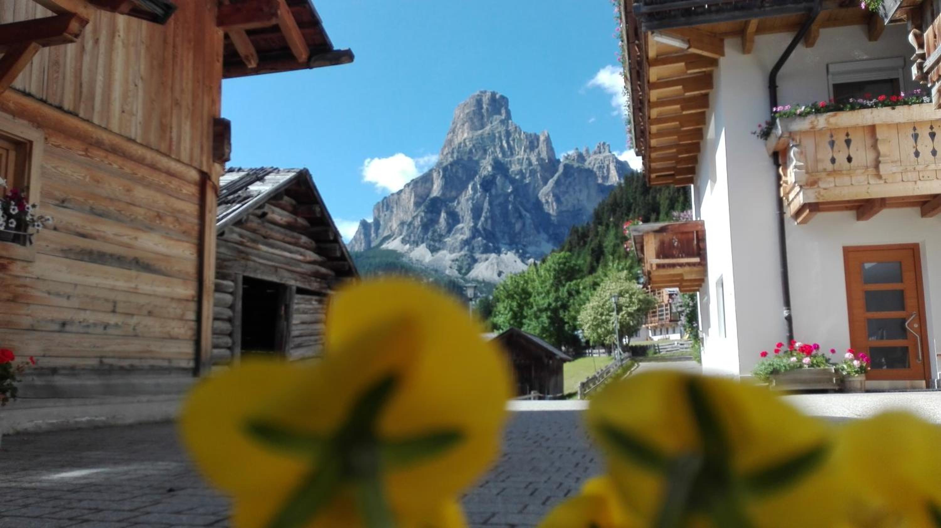 Pensione Valbona view 4