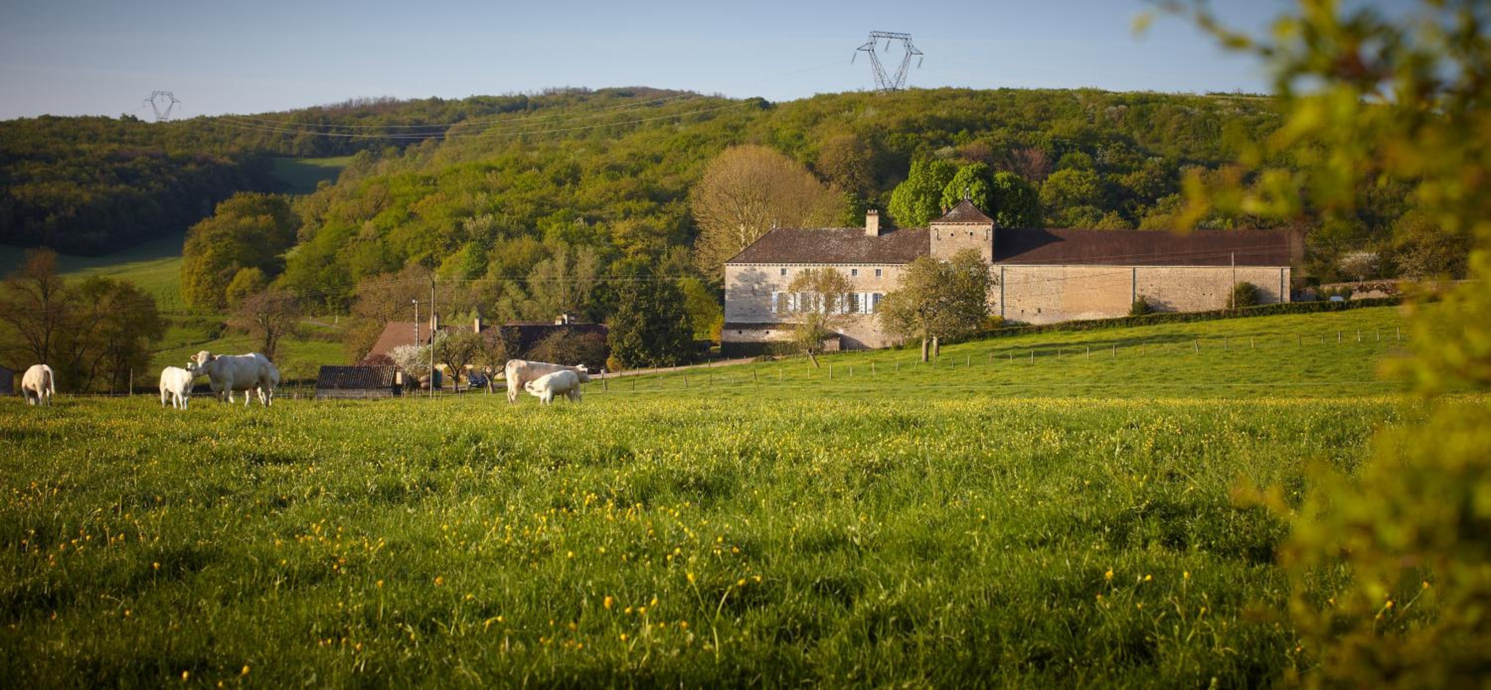 Les maisons vigneronnes view 5