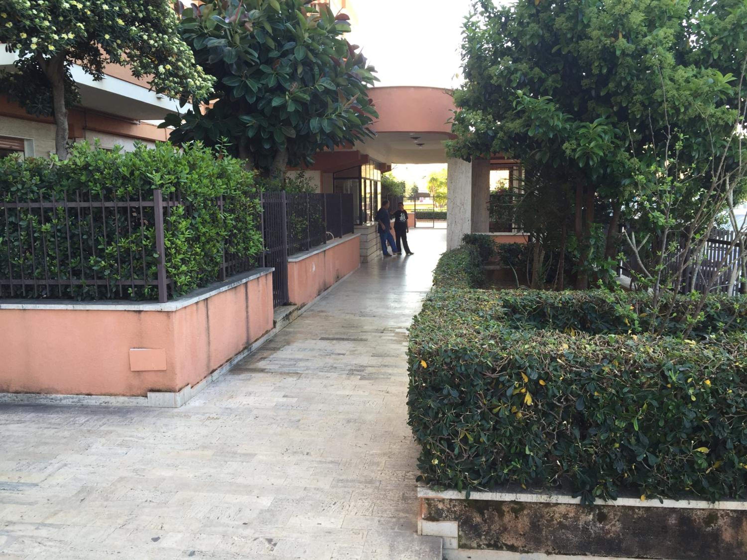 Photo 31