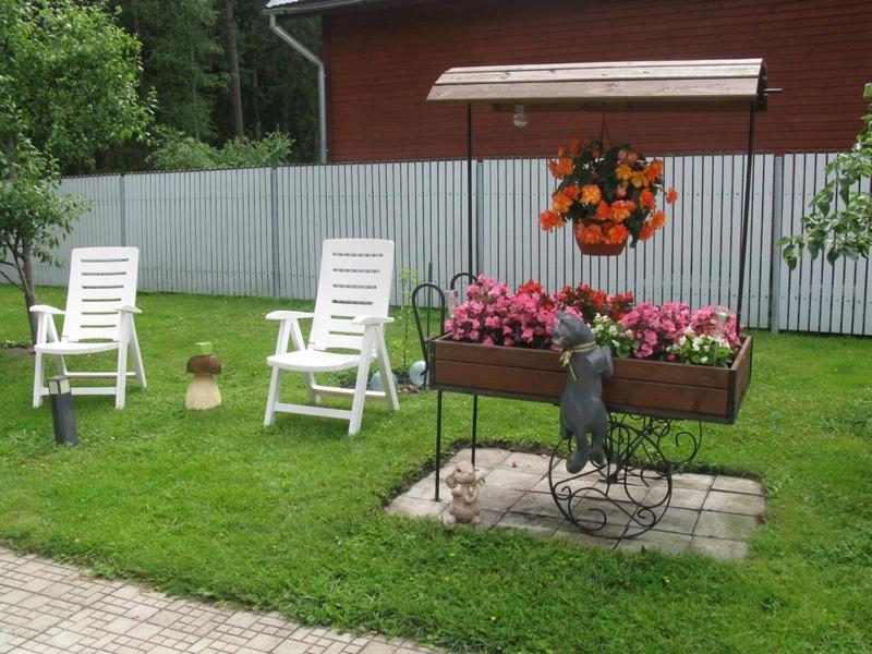 Photo 35