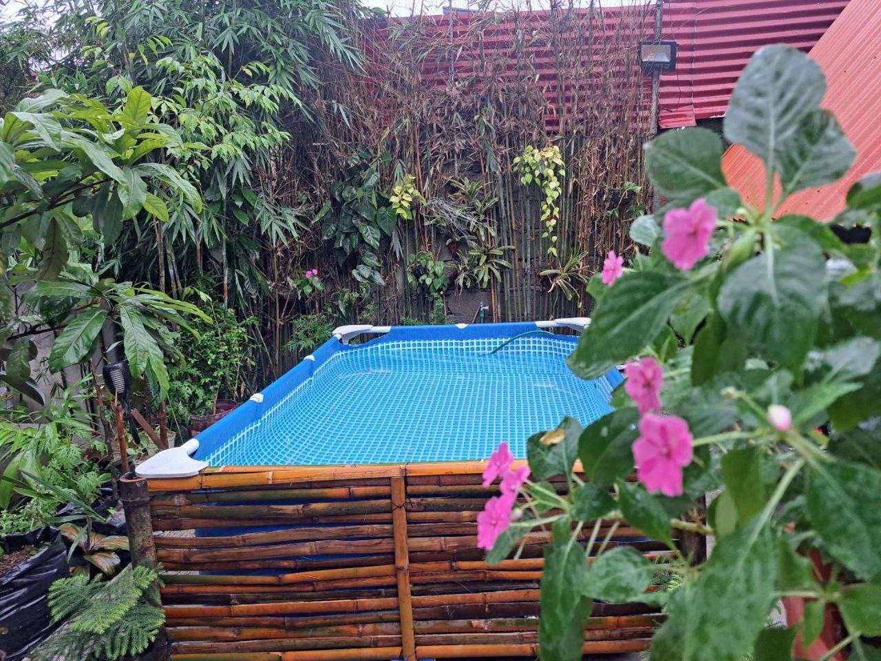 Pet-Friendly Tagaytay Retreat Country Nipa Huts