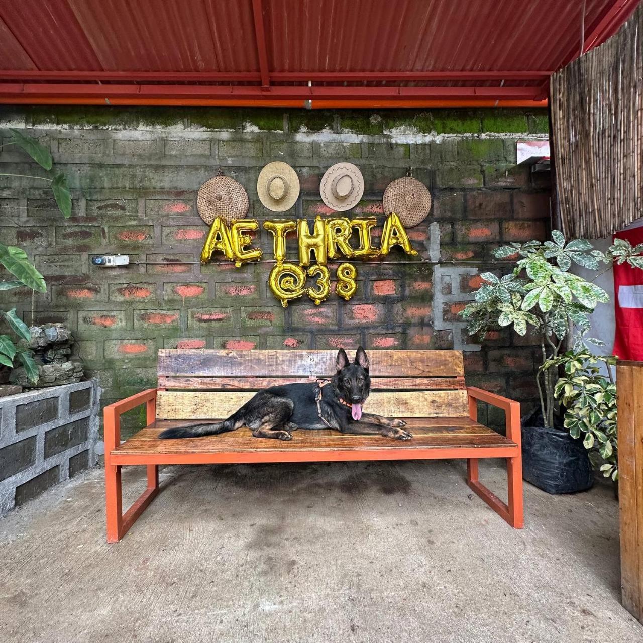Pet-Friendly Tagaytay Retreat Country Nipa Huts
