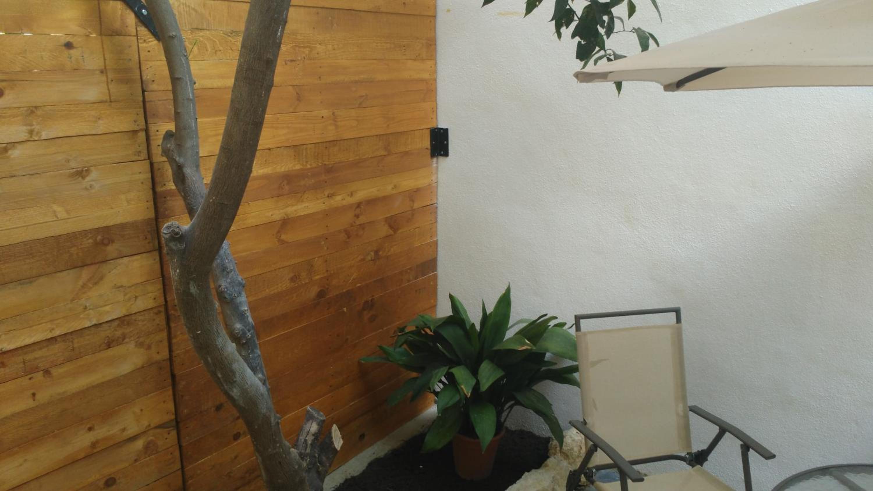 Apartamentos Fernando El Catolico