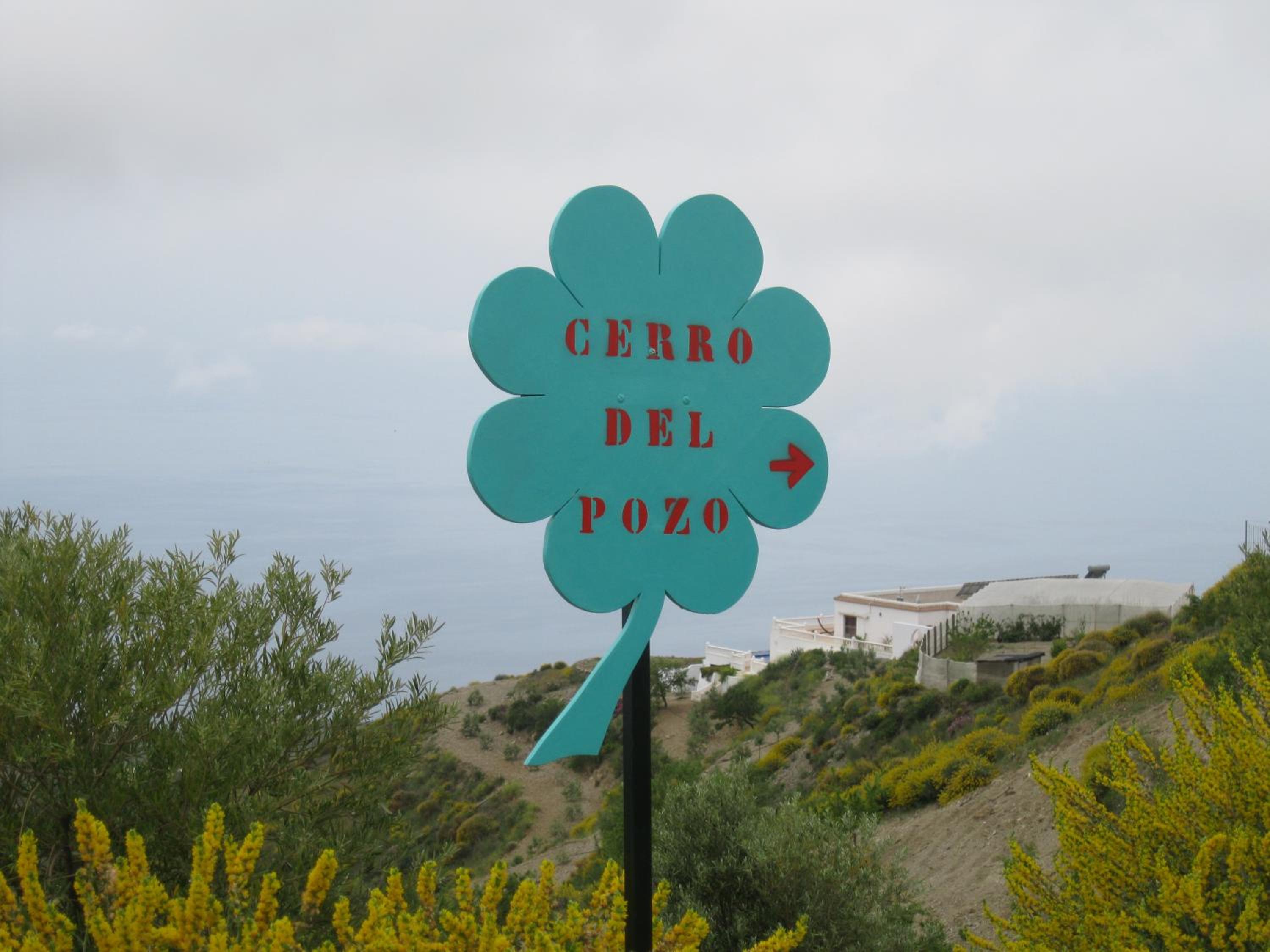 Photo 44