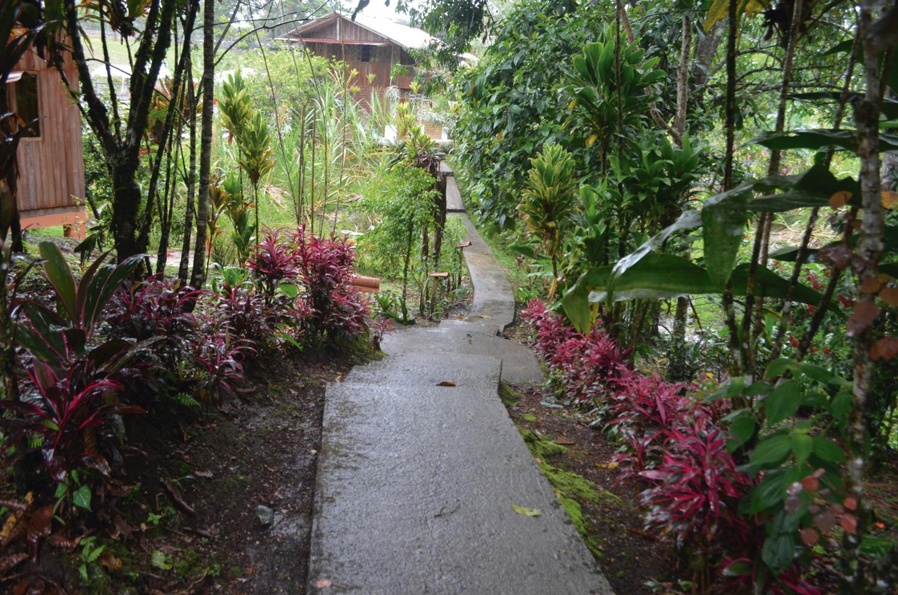 Photo 8